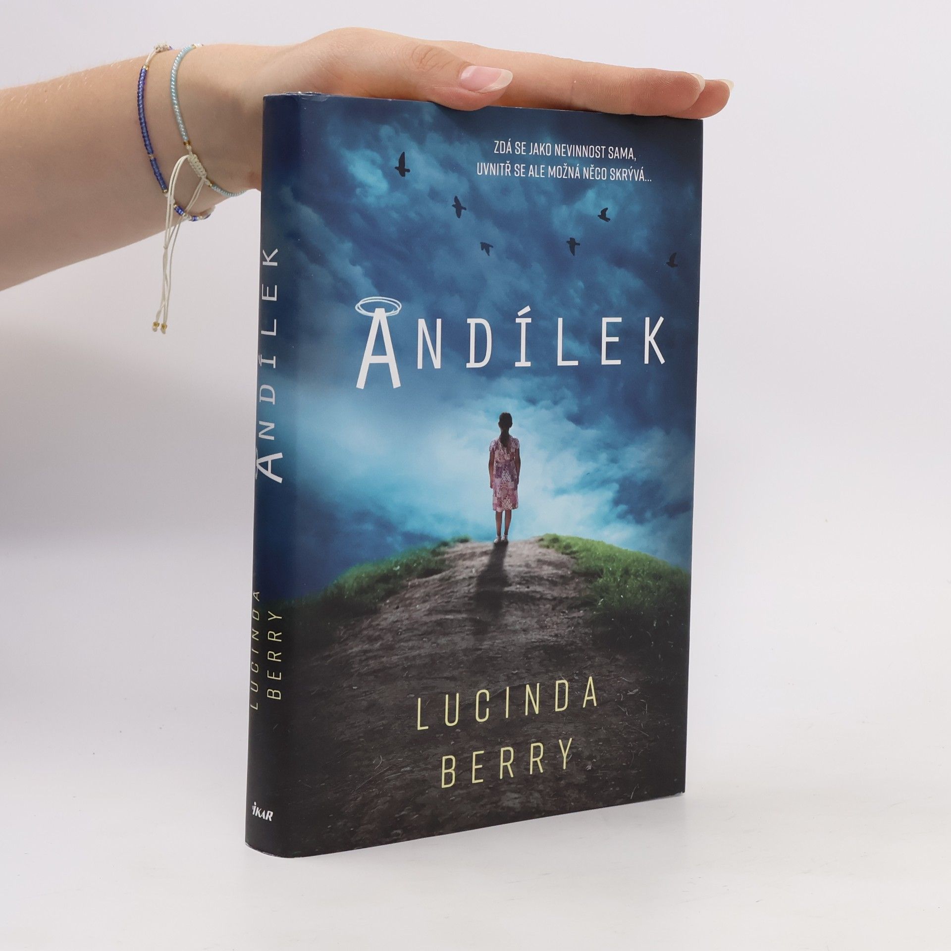Lucinda Berry Andílek