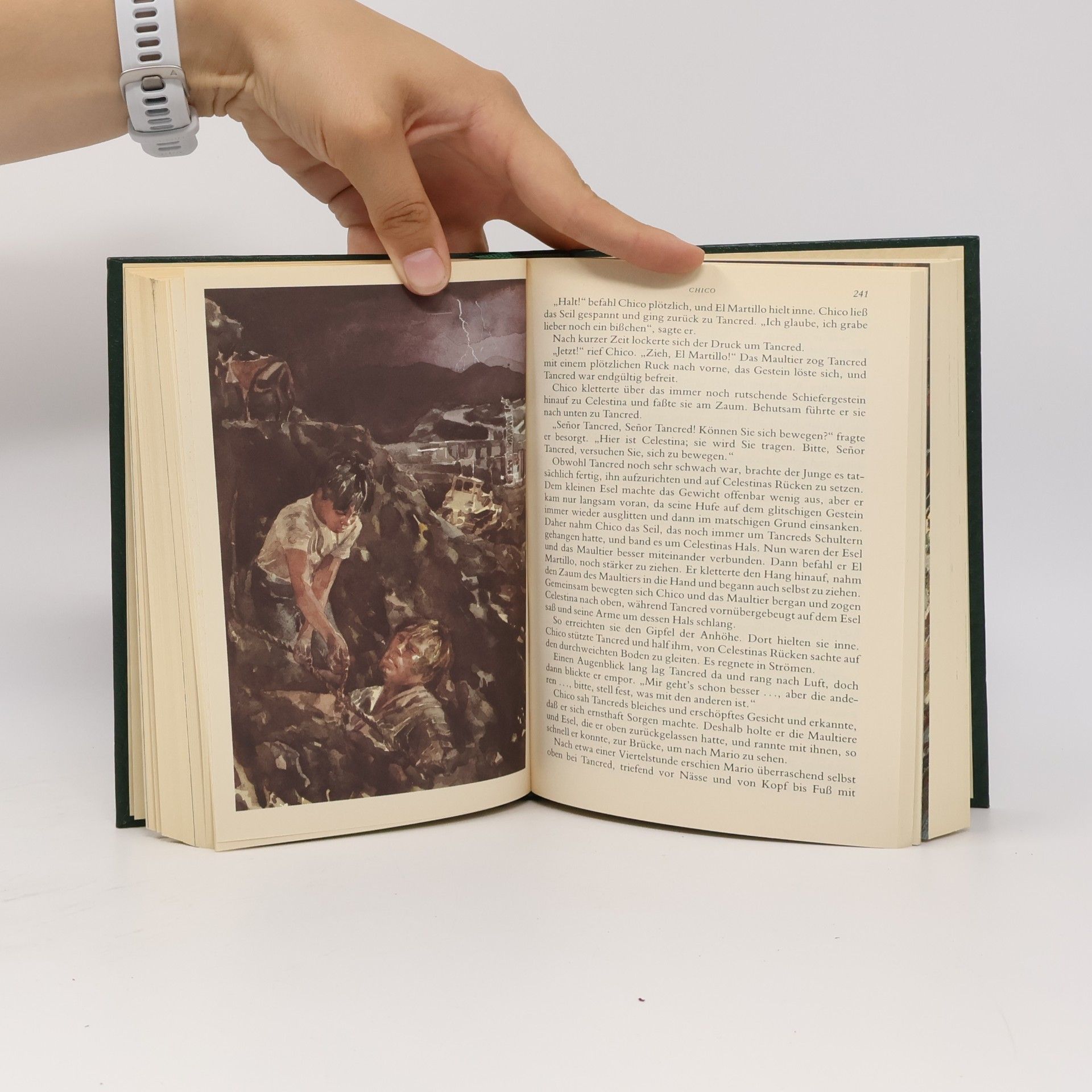 Elizabeth Webster Reader's Digest Auswahlbücher. In den Wäldern von Borodino. Chico. Jeder Tag zählt. Die Bären und ich