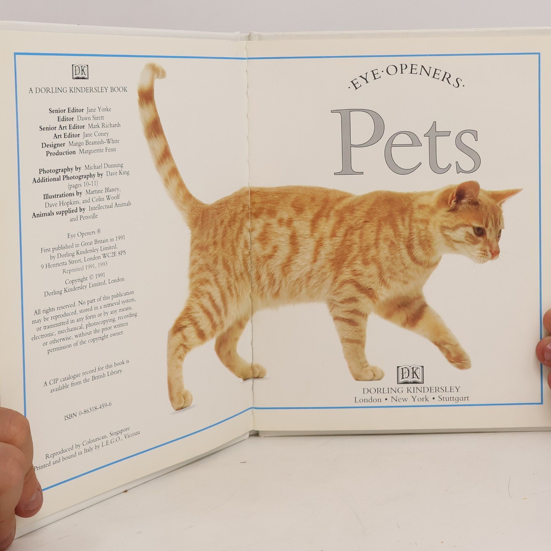 Jane Yorke Pets