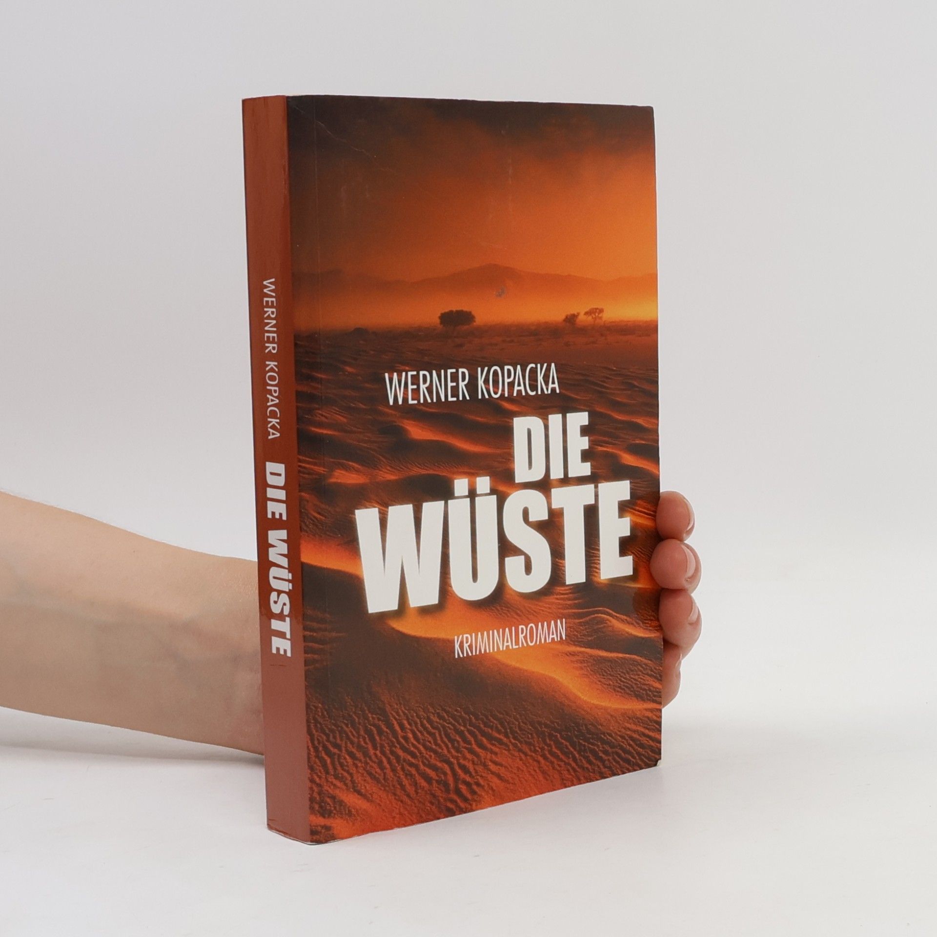 Werner Kopacka Die Wüste