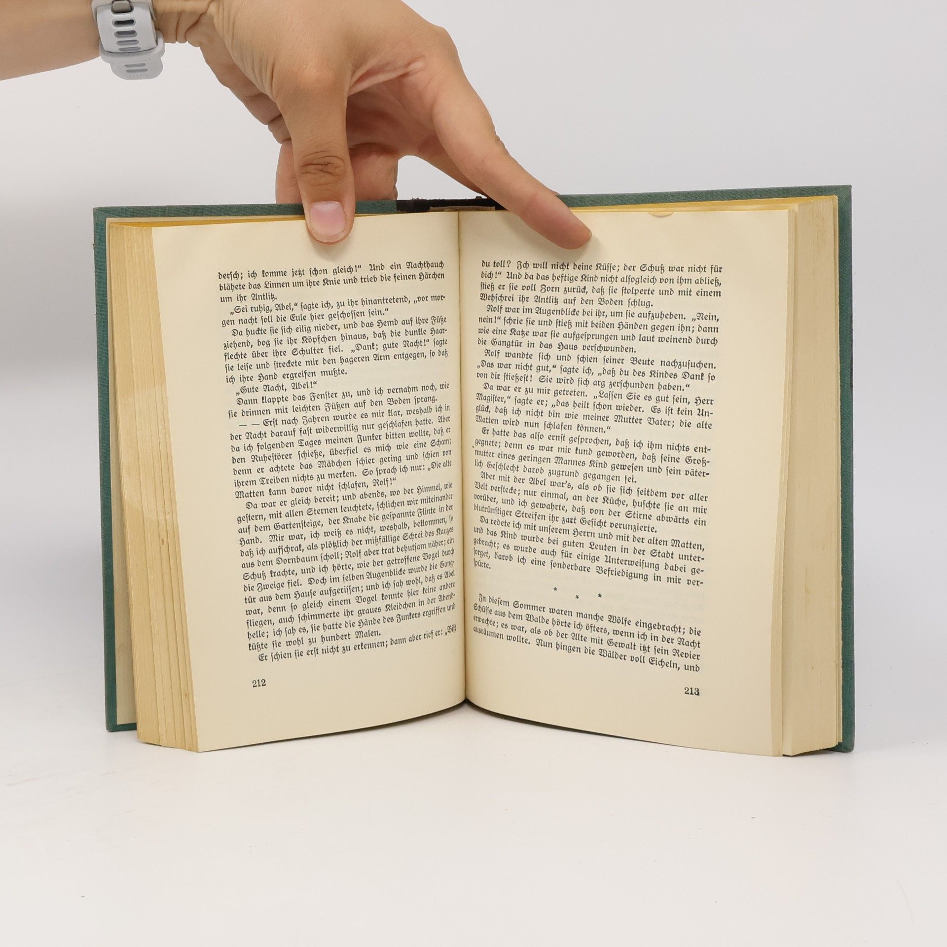 Autorenkollektiv Storm. Meisterwerke deutscher Klassiker
