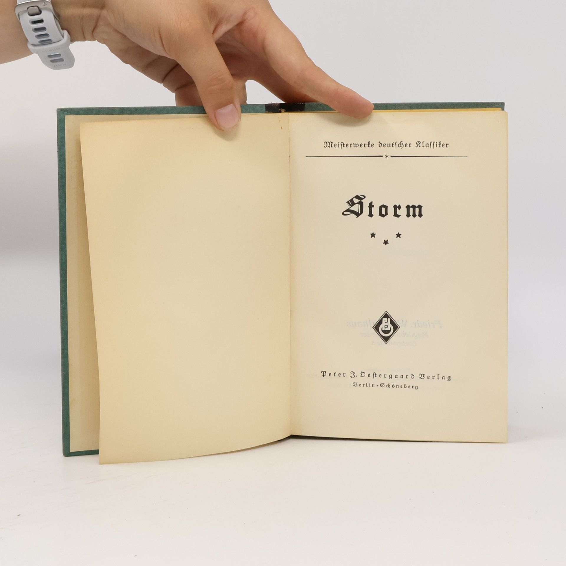 Autorenkollektiv Storm. Meisterwerke deutscher Klassiker