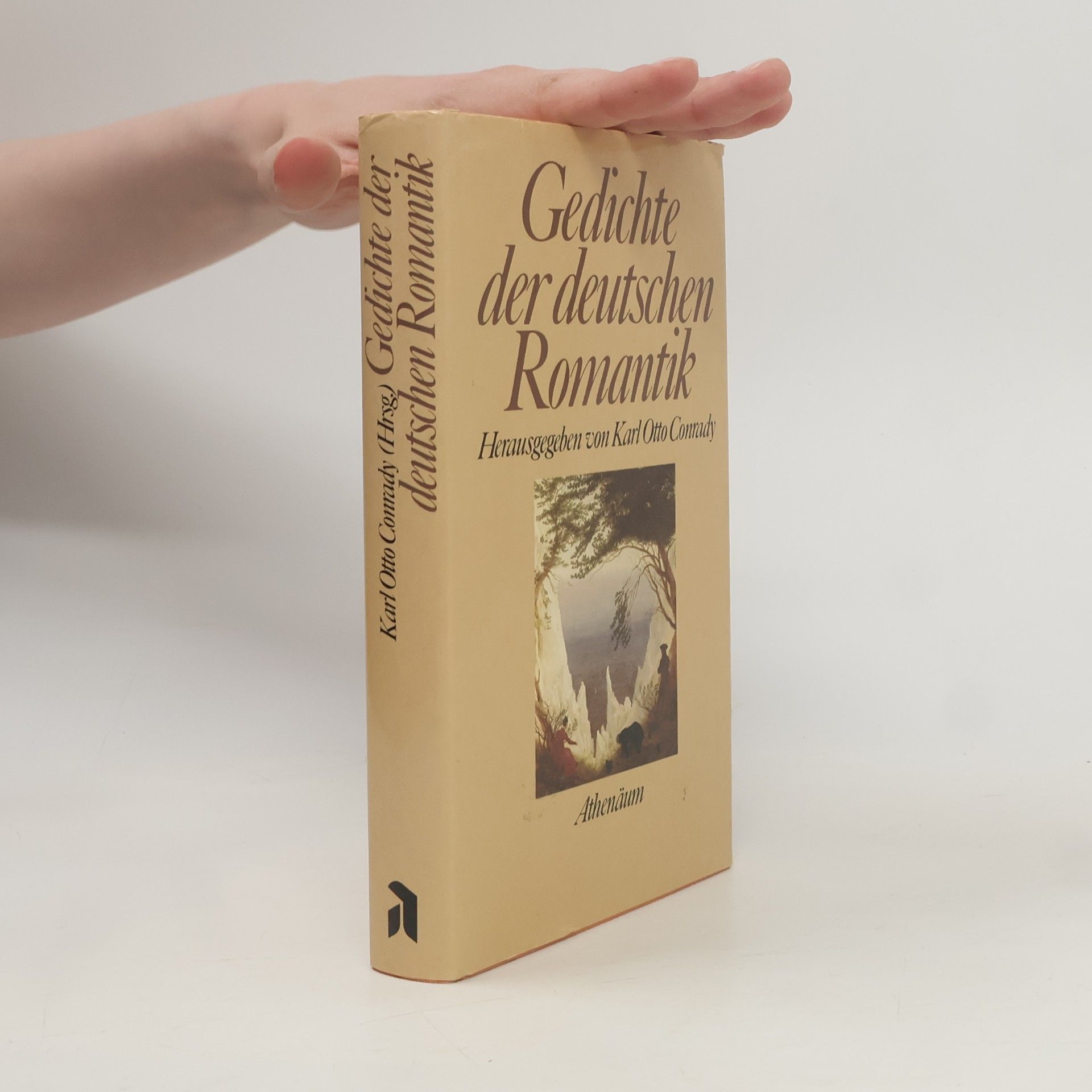 Karl Otto Conrady Gedichte der deutschen Romantik