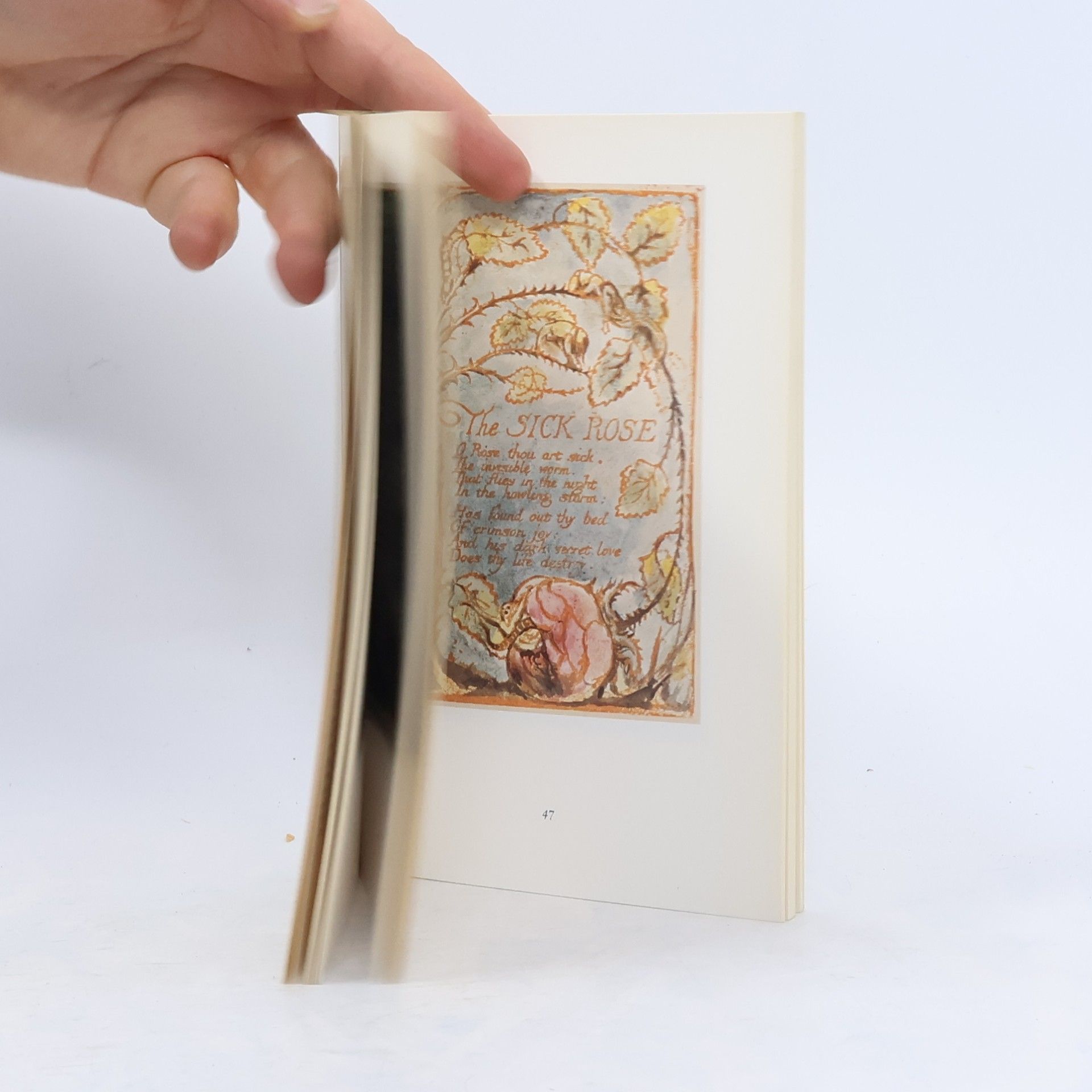 William Blake Lieder der Unschuld und Erfahrung. Nach e. handkolorierten Expl. d. British Museum. Hrsg. u. Nachw. v. Werner Hofmann