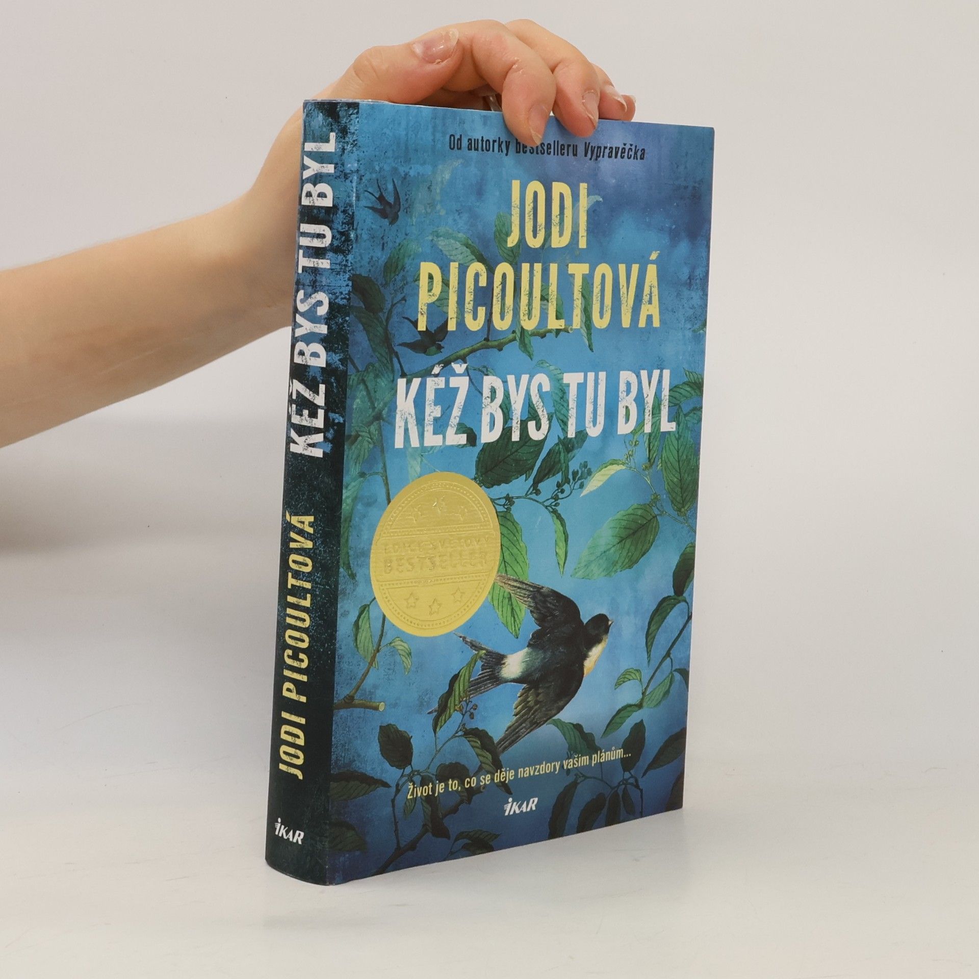 Marcela Nejedlá Kéž bys tu byl