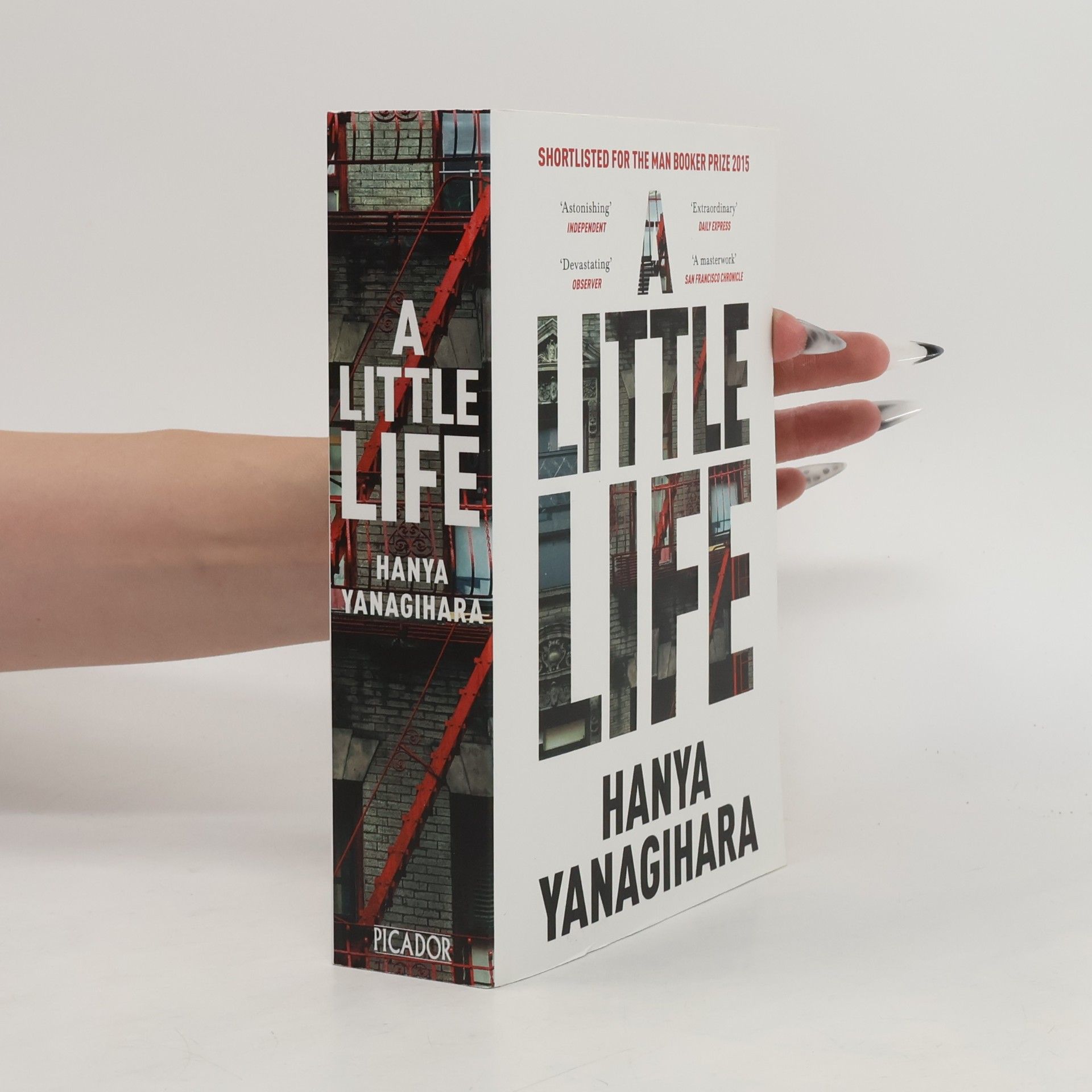 Hanya Yanagihara A Little Life