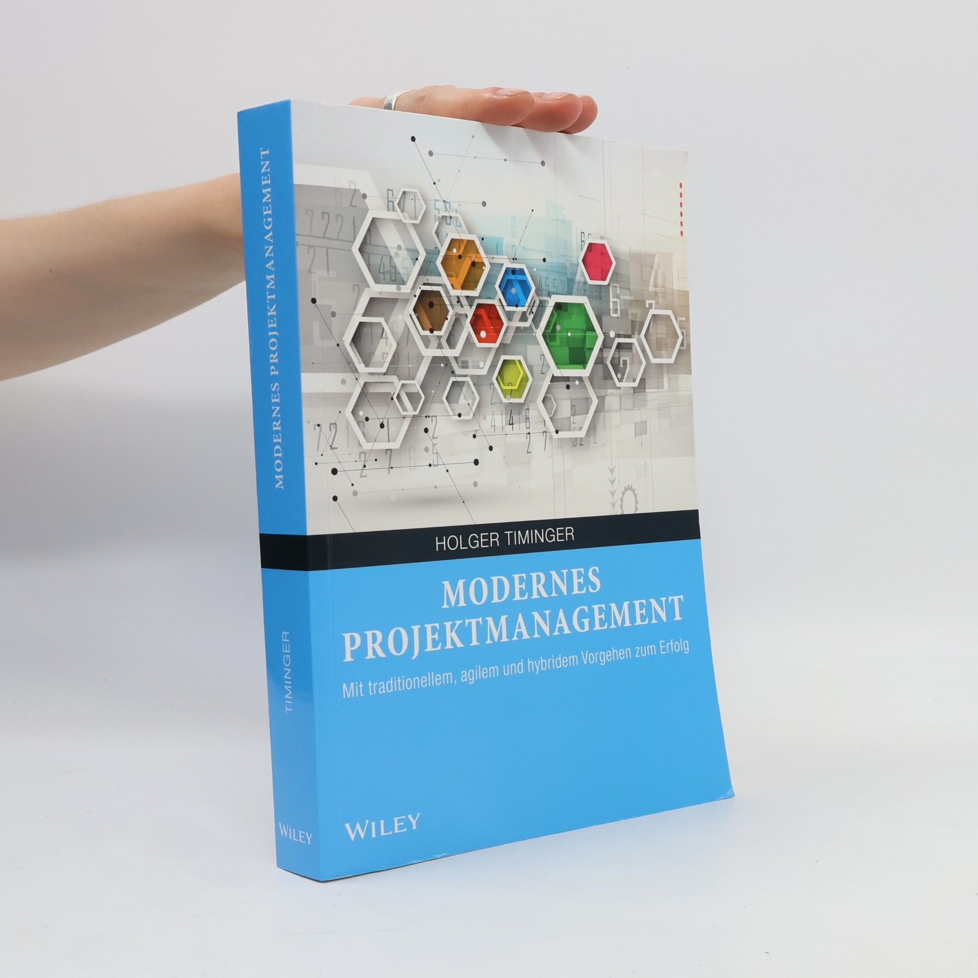 Holger Timinger Modernes Projektmanagement
