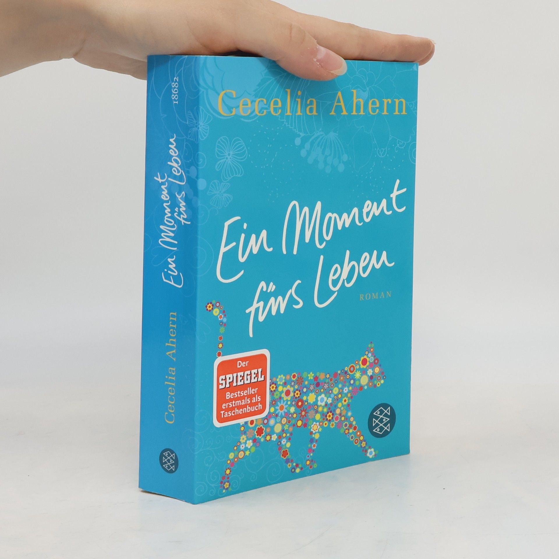 Cecelia Ahern Ein Moment fürs Leben