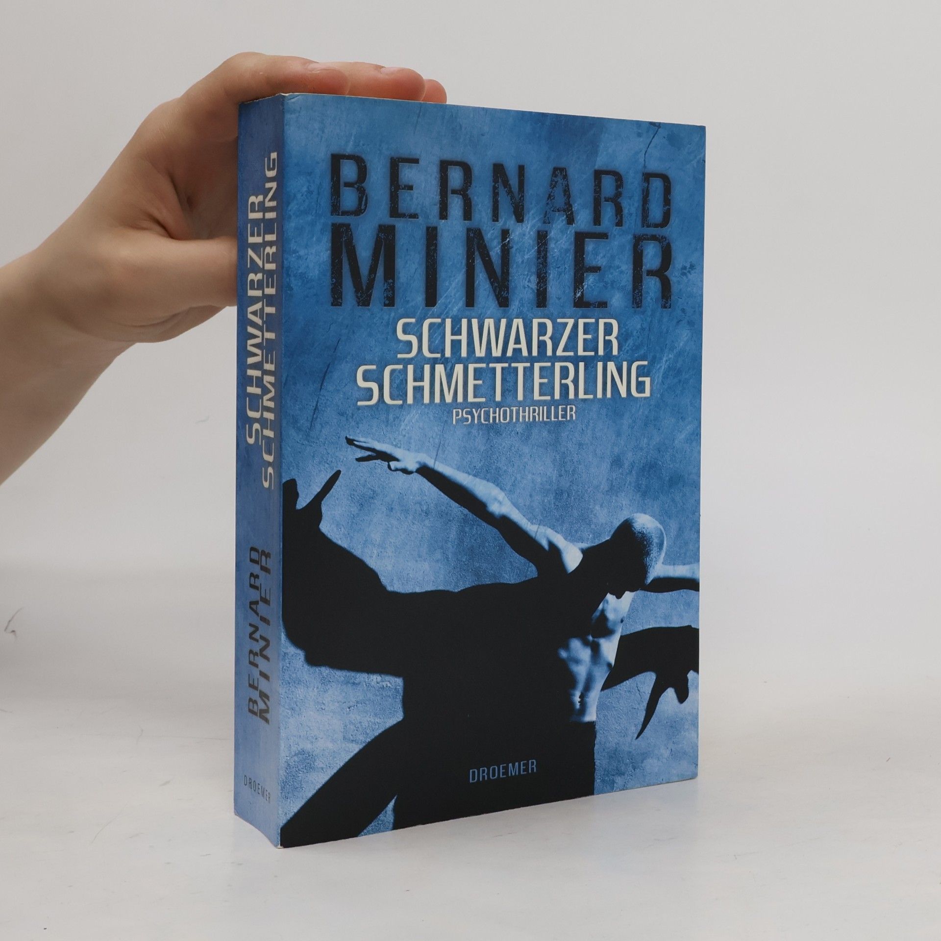 Bernard Minier Schwarzer Schmetterling