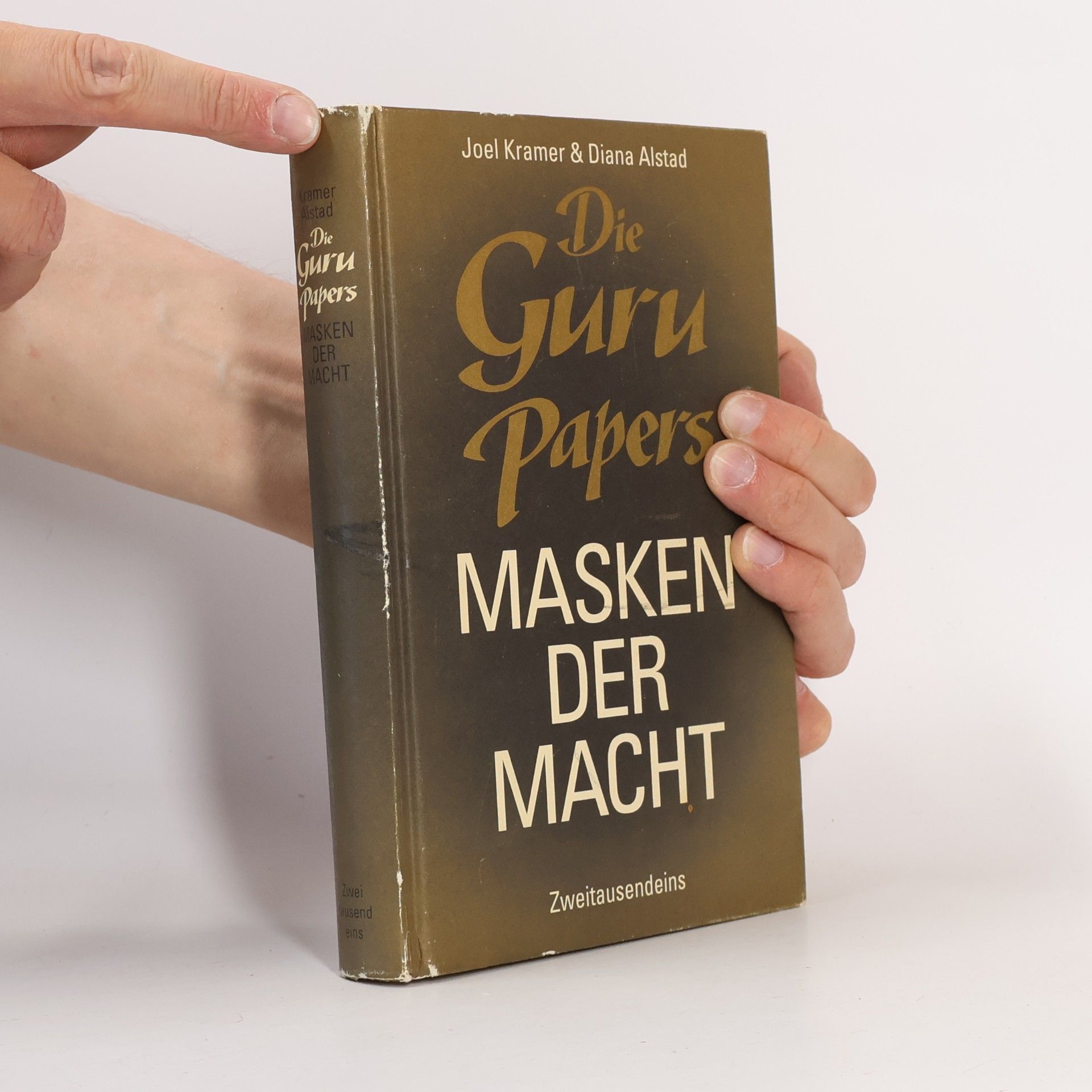 Joel Kramer Die Guru-Papers