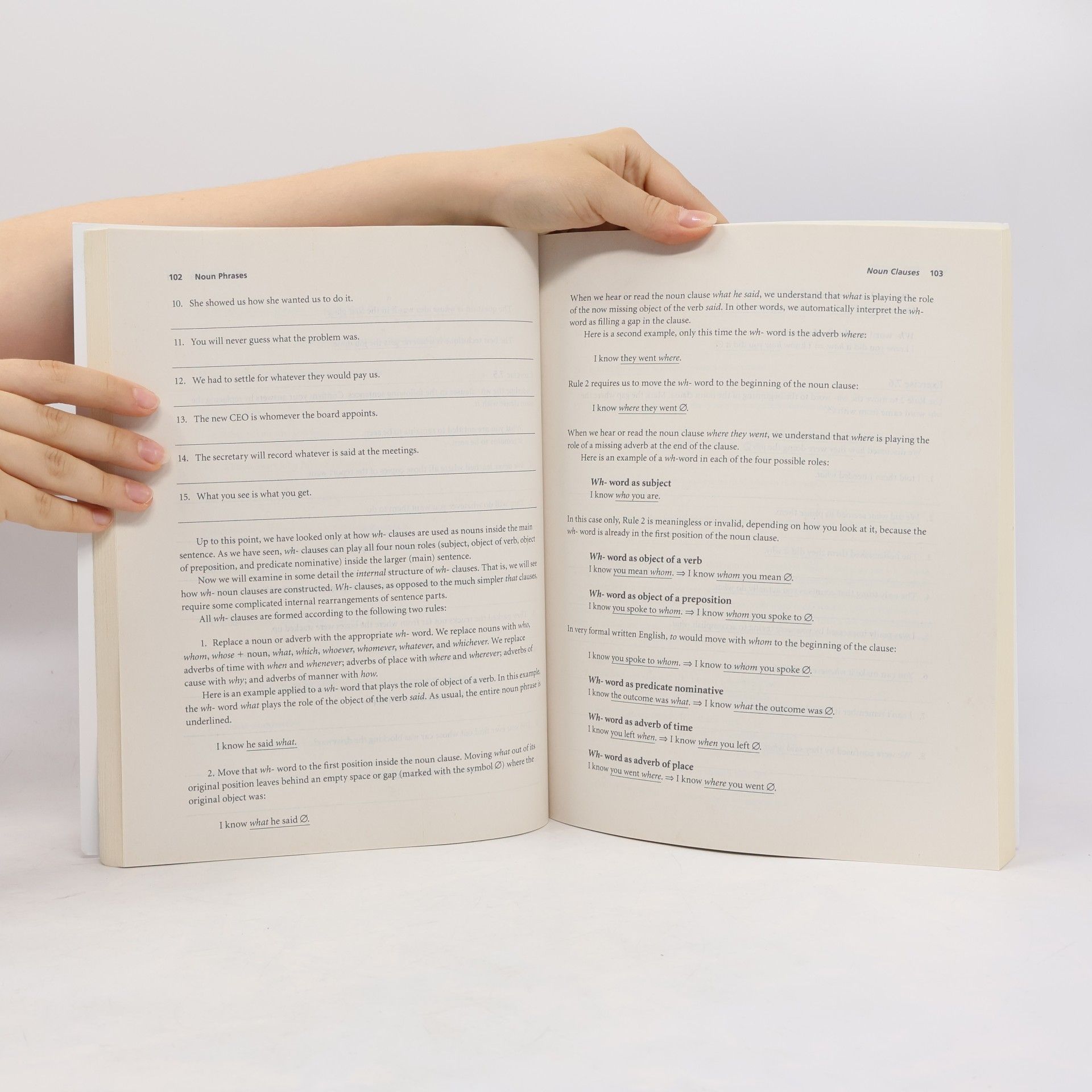 Larry Beason English Grammar Drills