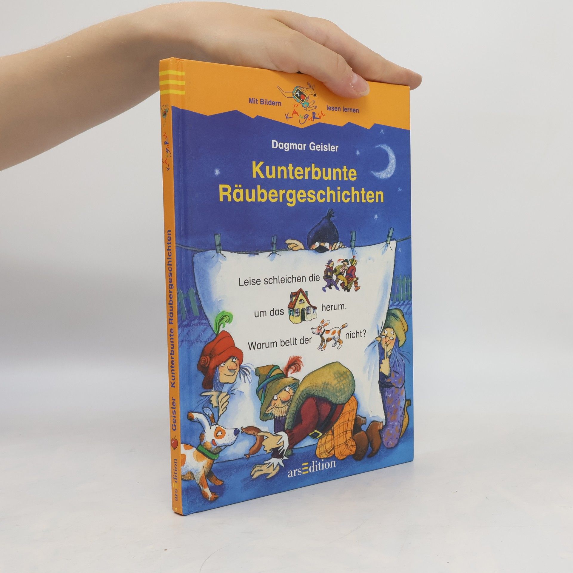Dagmar Geisler Kunterbunte Räubergeschichten