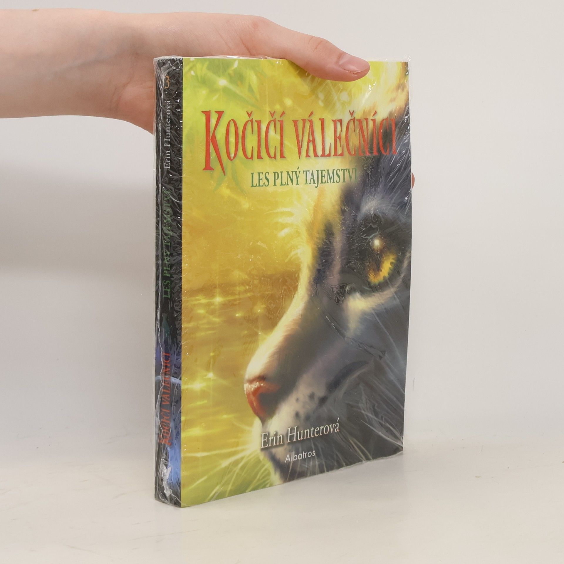 Kočičí válečníci