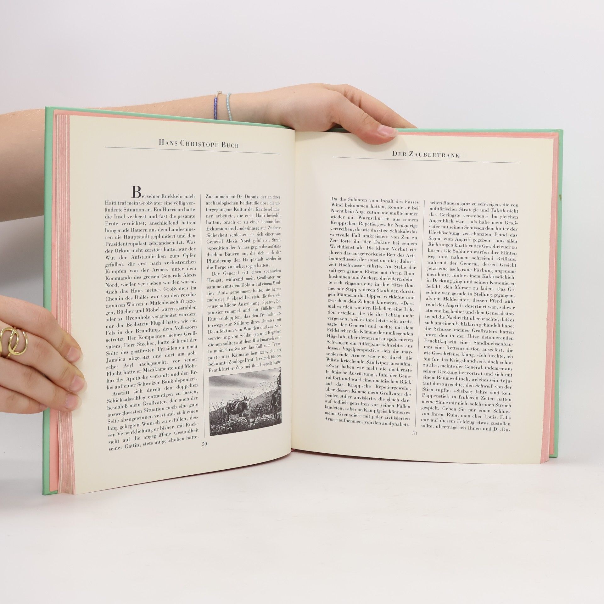 Autorenkollektiv Schumann's Tropical Barbuch