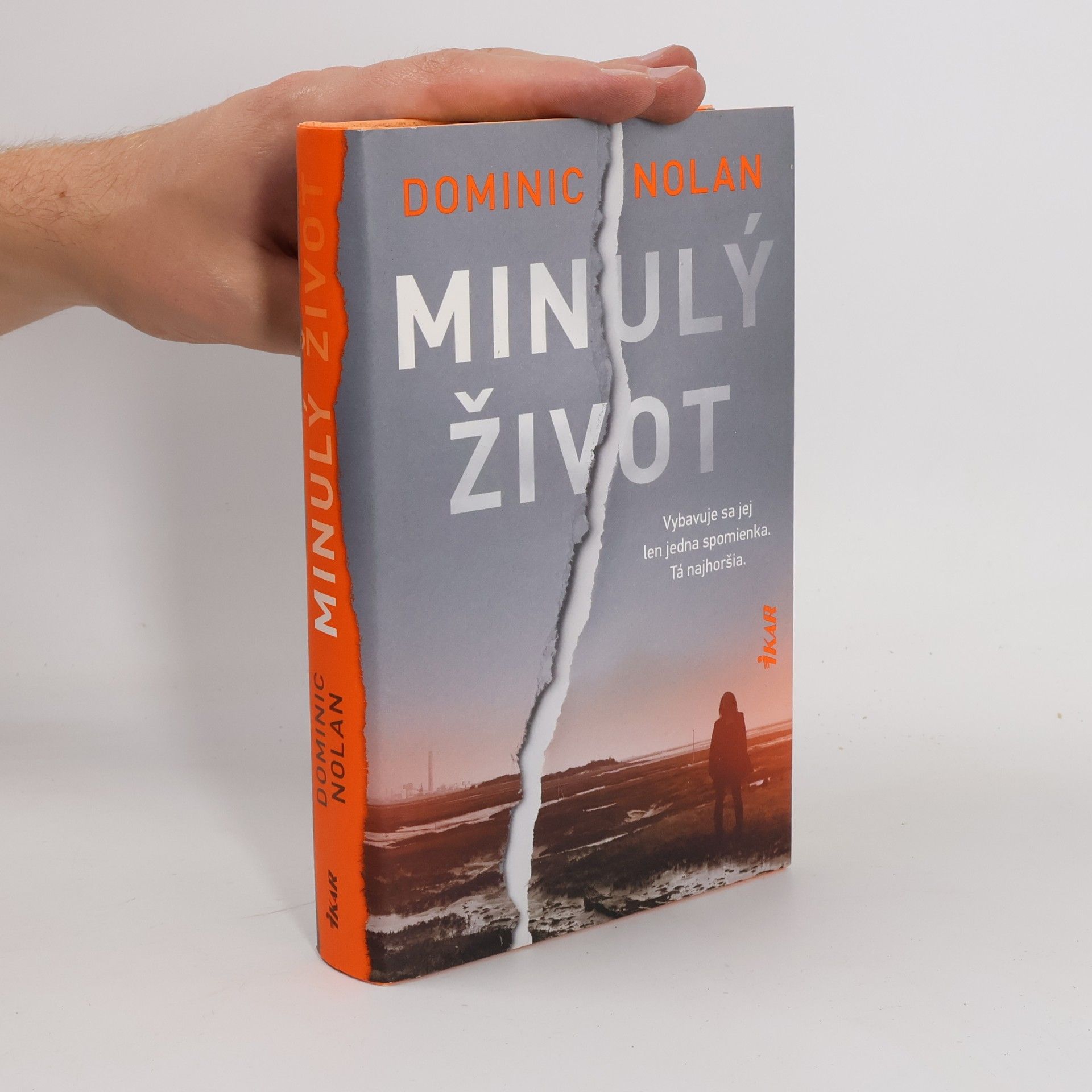 Dominic Nolan Minulý život