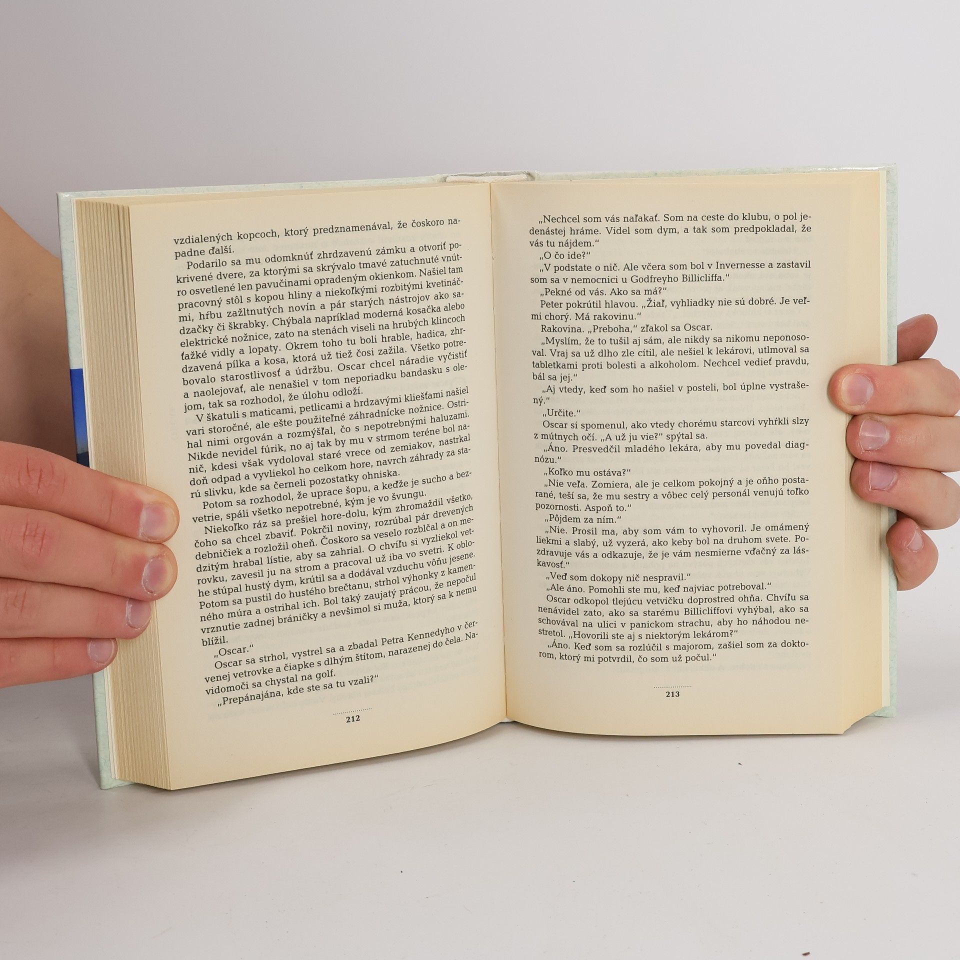 Rosamunde Pilcher Zimný slnovrat