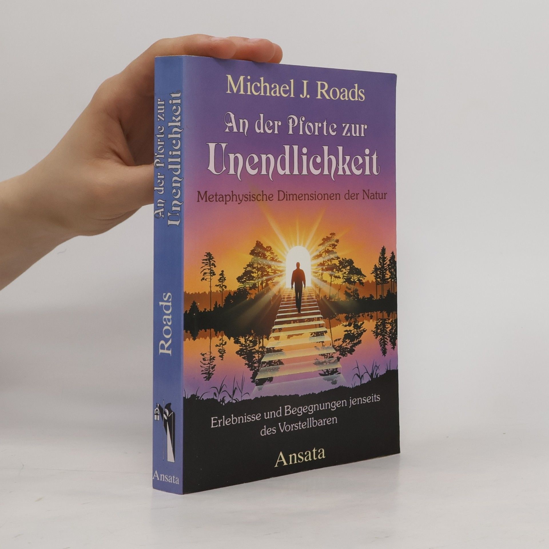 Michael J. Roads An der Pforte zur Unendlichkeit