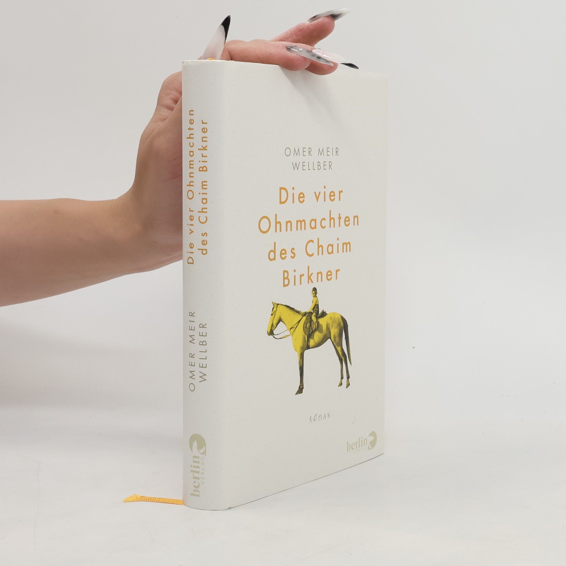 ʿOmer Meʾir Ṿelber Die vier Ohnmachten des Chaim Birkner