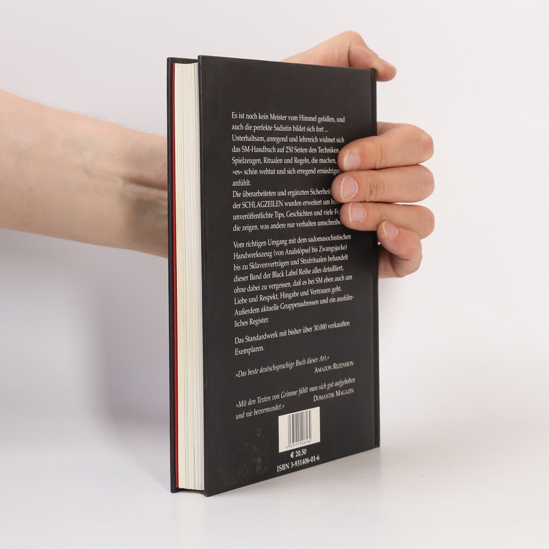 Matthias T. J. Grimme Das SM-Handbuch