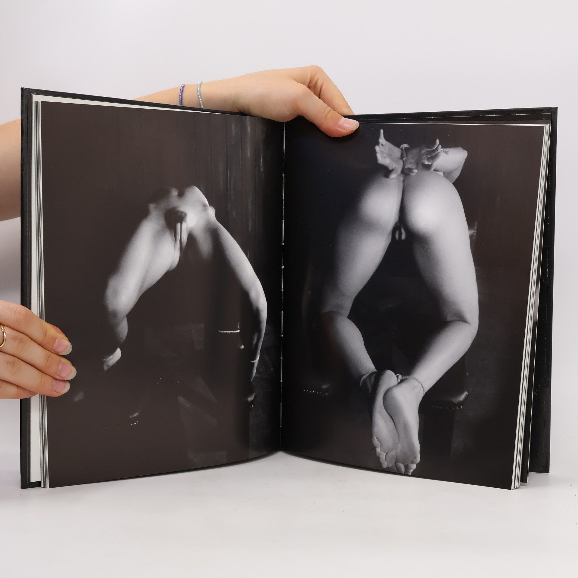 China Hamilton The Cabinet of Dark Things