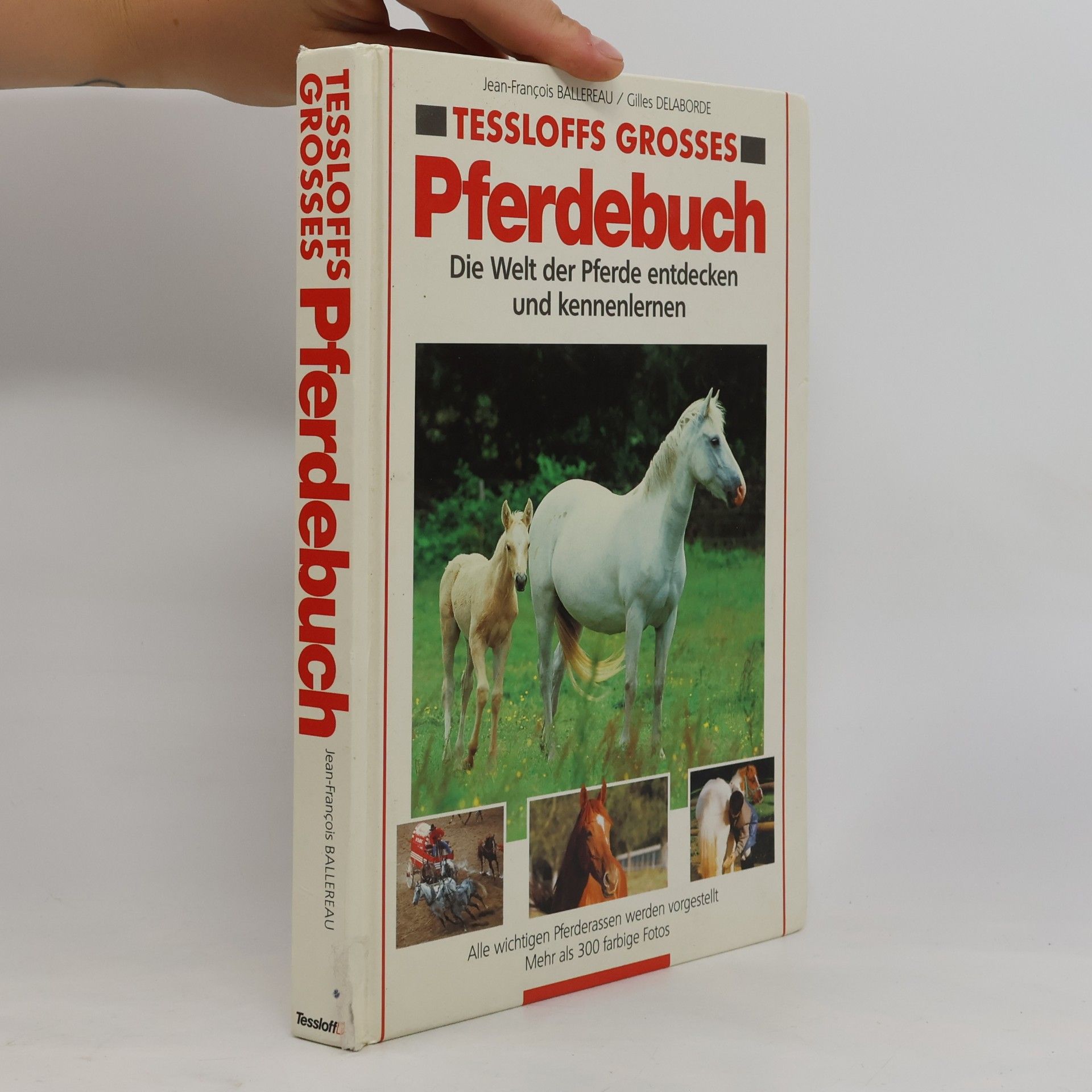 Jean Franc ois Ballereau Tessloffs grosses Pferdebuch