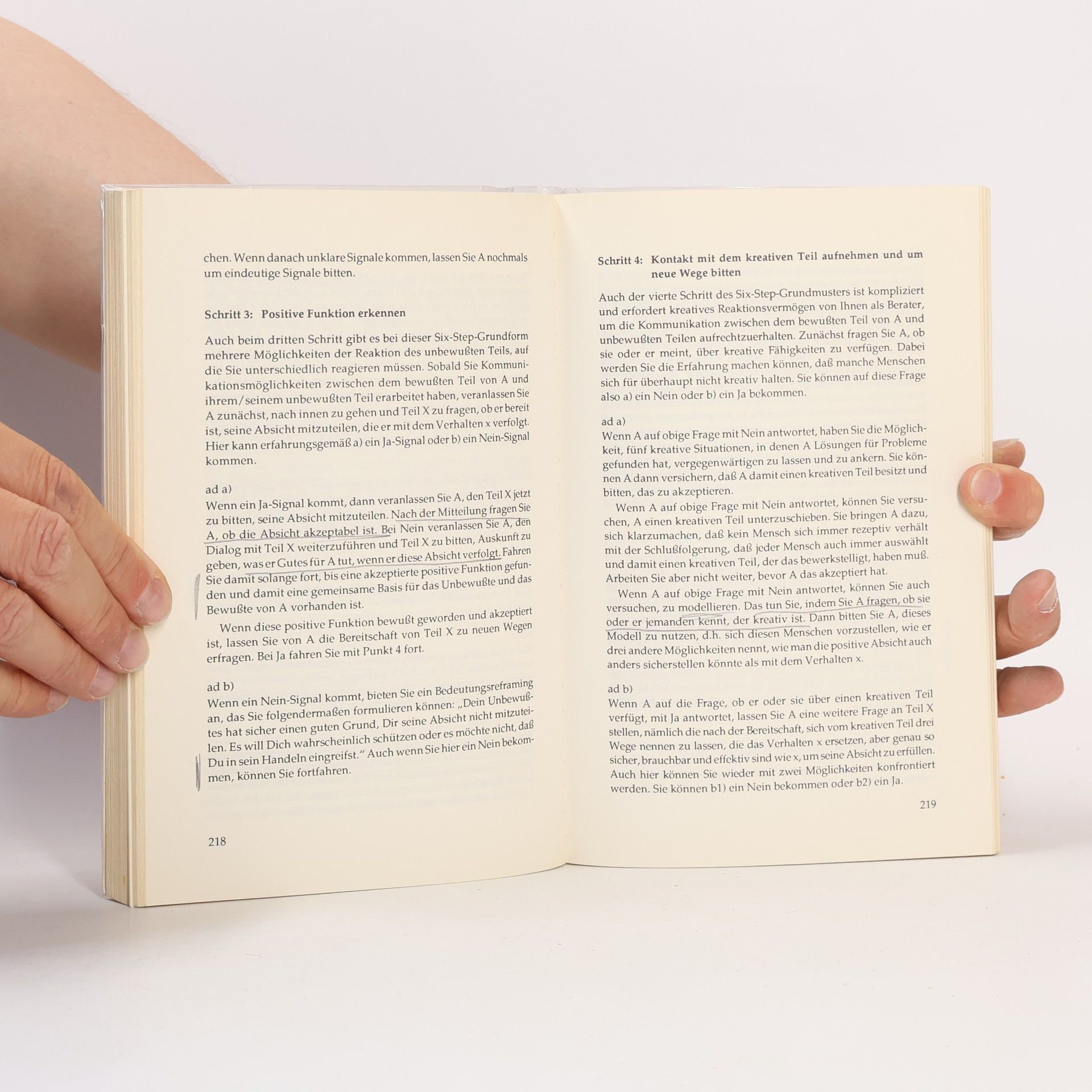 Alexa Mohl Das NLP-Lern- und Übungsbuch