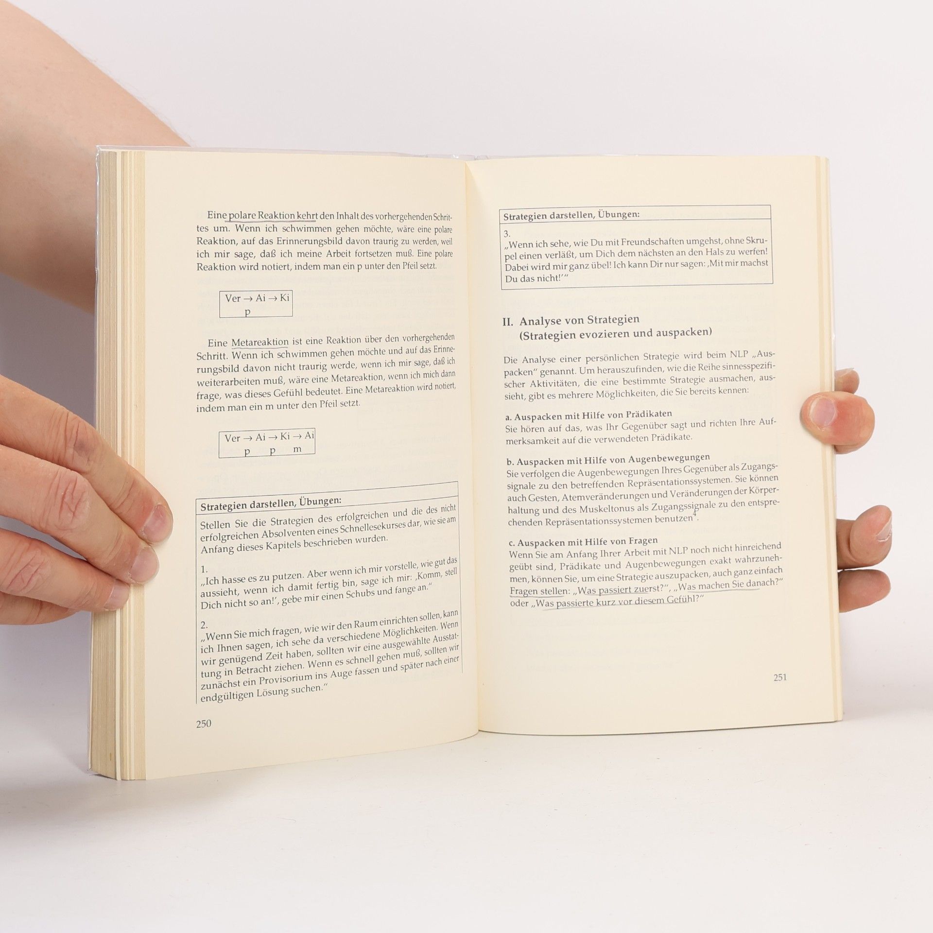 Alexa Mohl Das NLP-Lern- und Übungsbuch