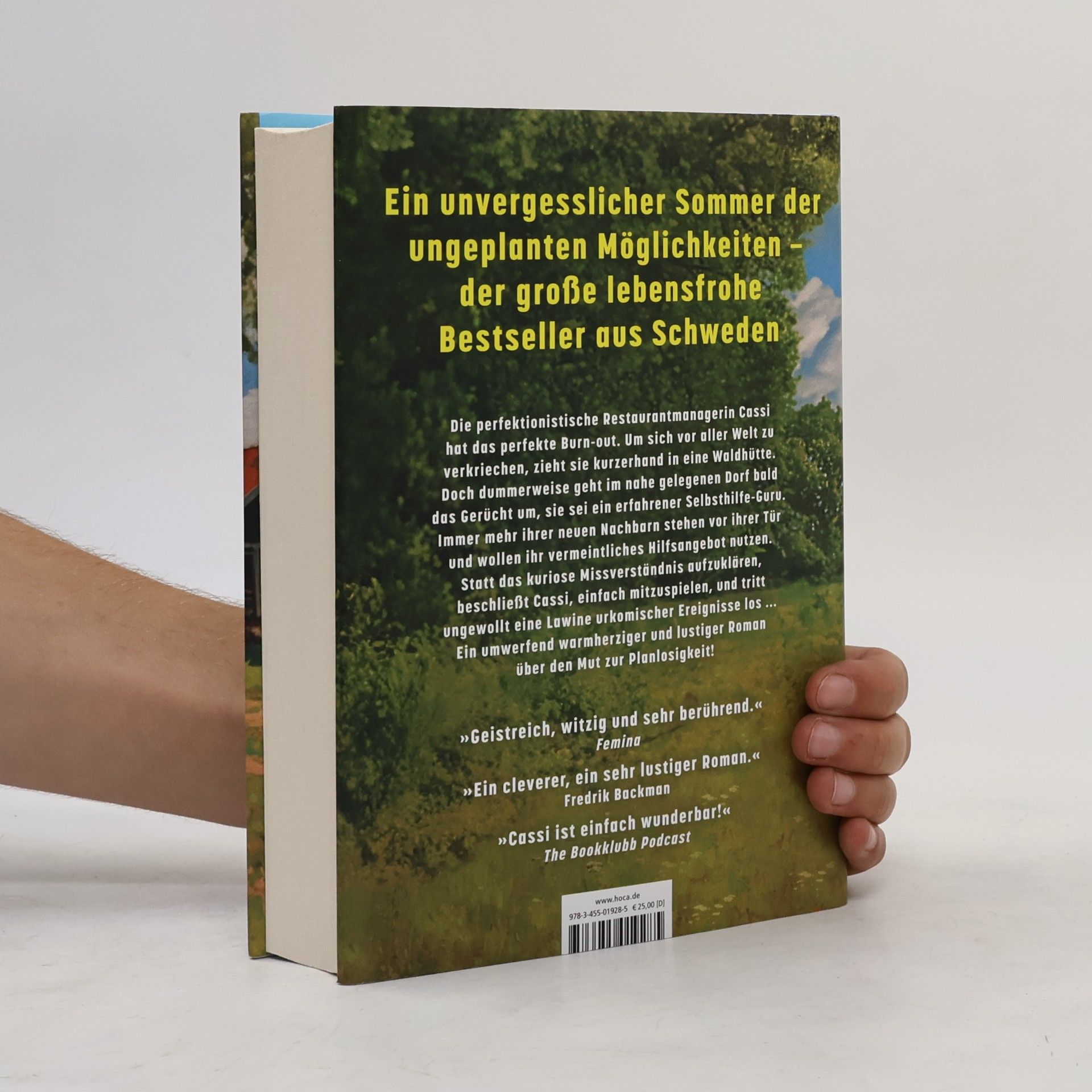 Johanna Swanberg Sommer ohne Plan