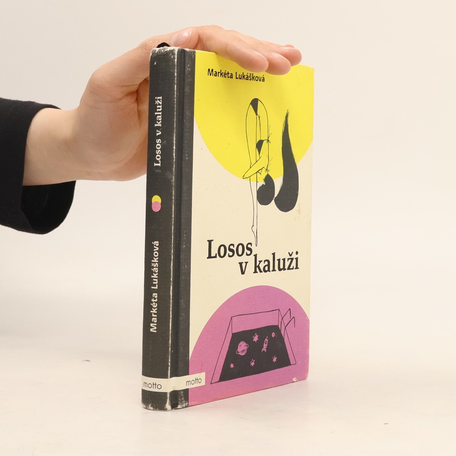 Markéta Lukášková Losos v kaluži