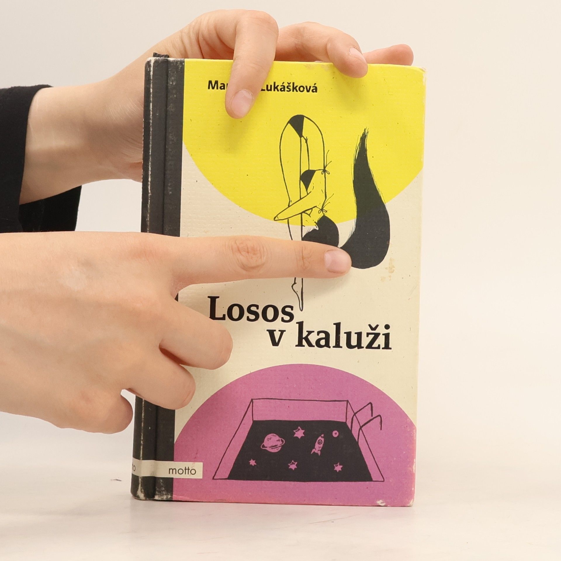 Markéta Lukášková Losos v kaluži