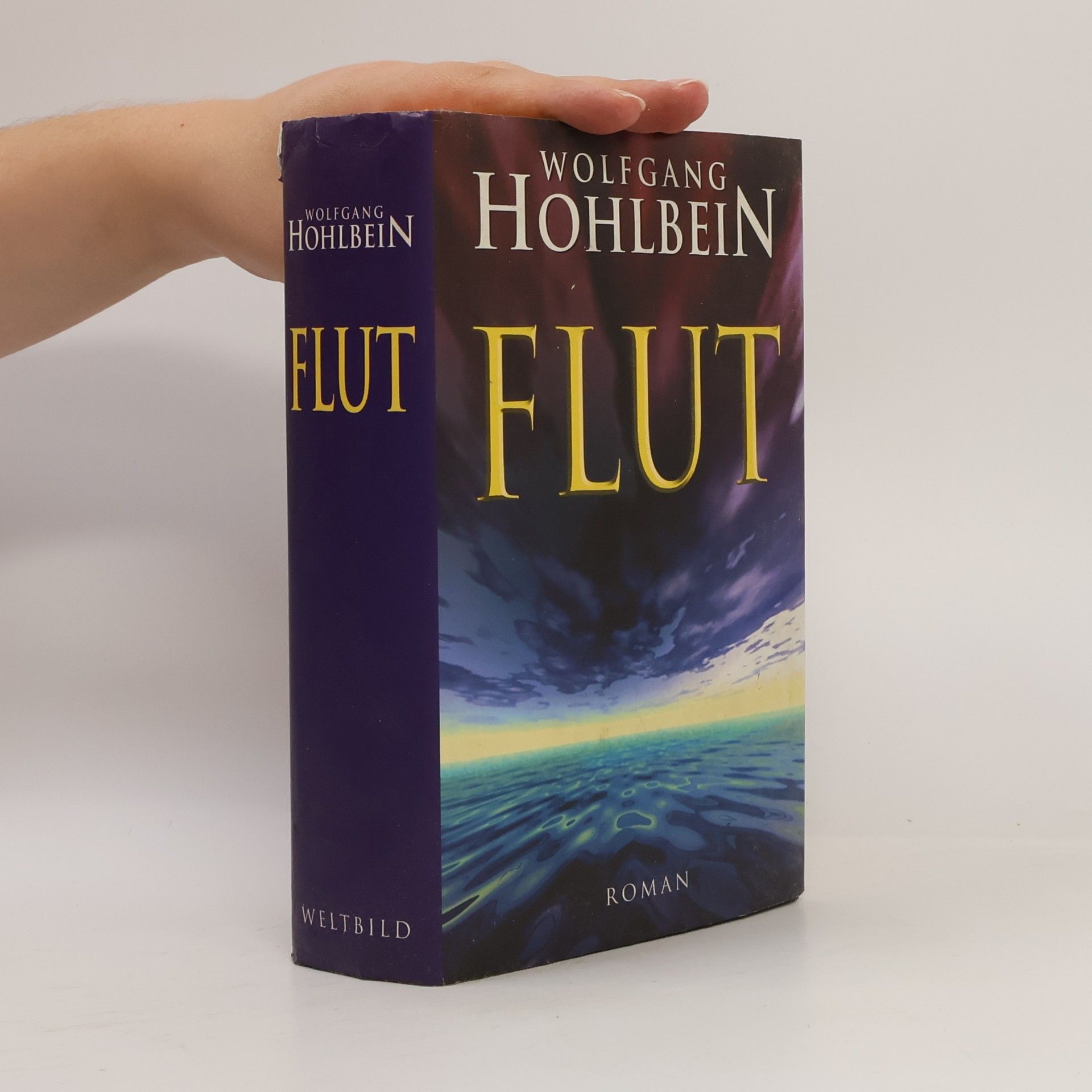 Wolfgang Hohlbein Flut