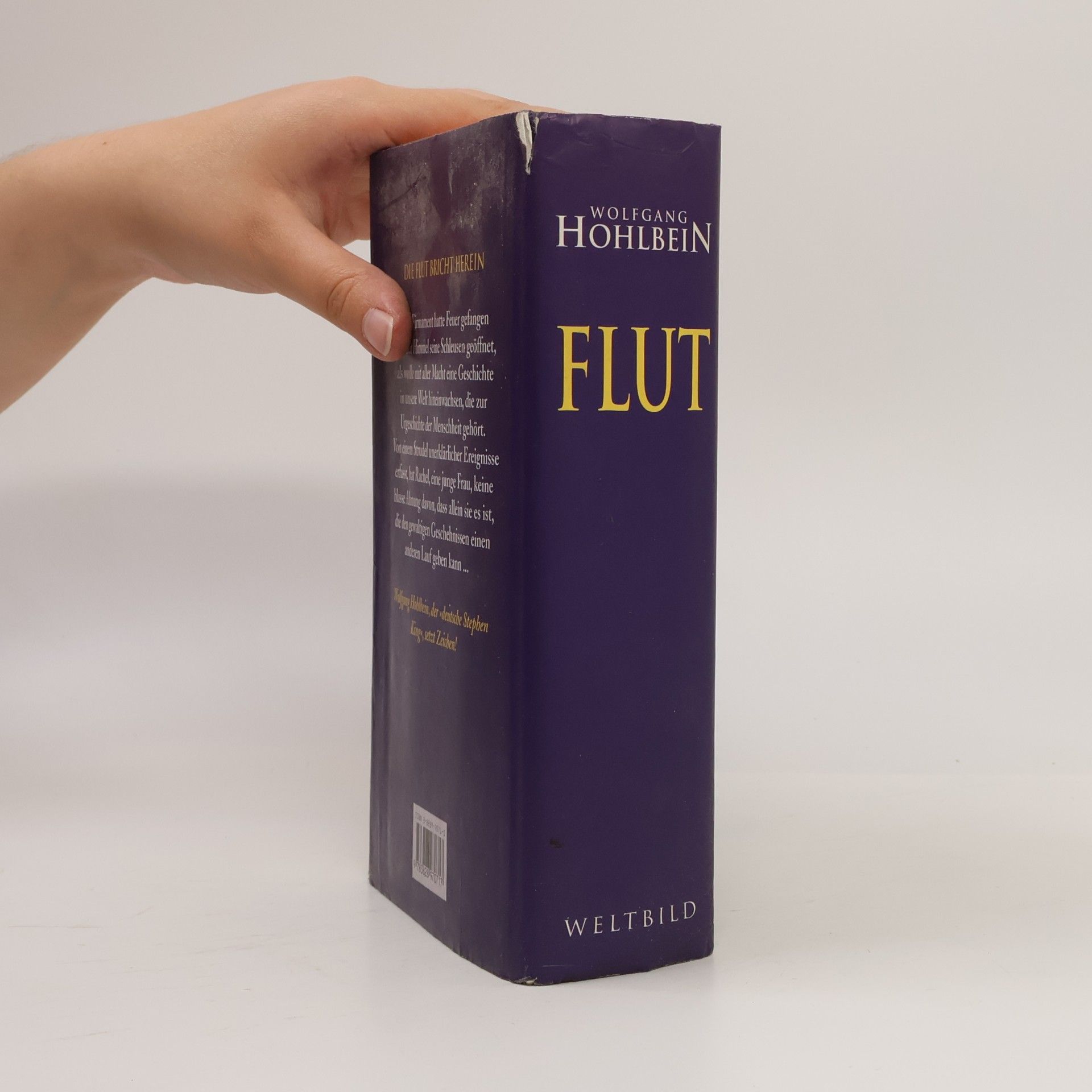 Wolfgang Hohlbein Flut
