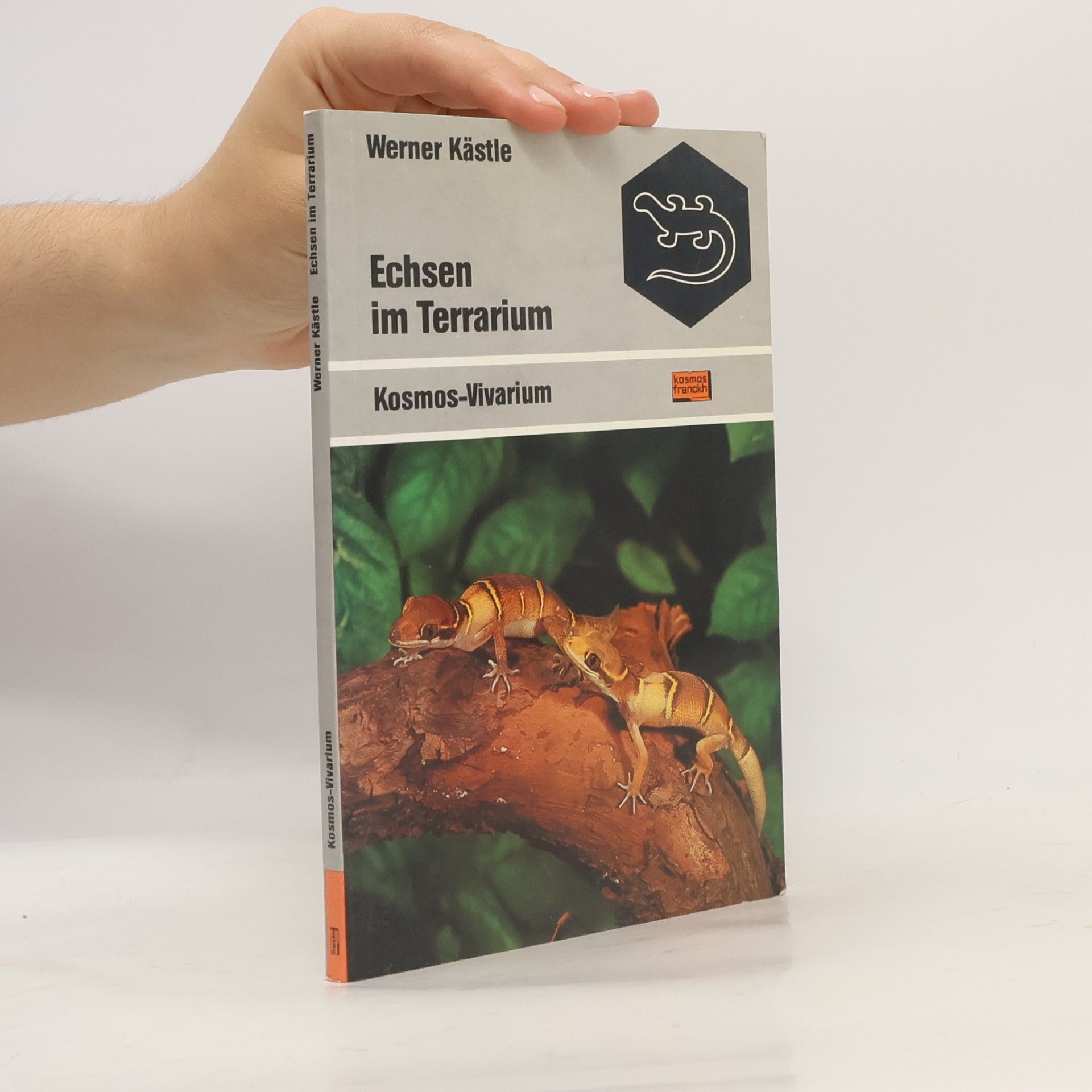 Werner Kästle Echsen im Terrarium