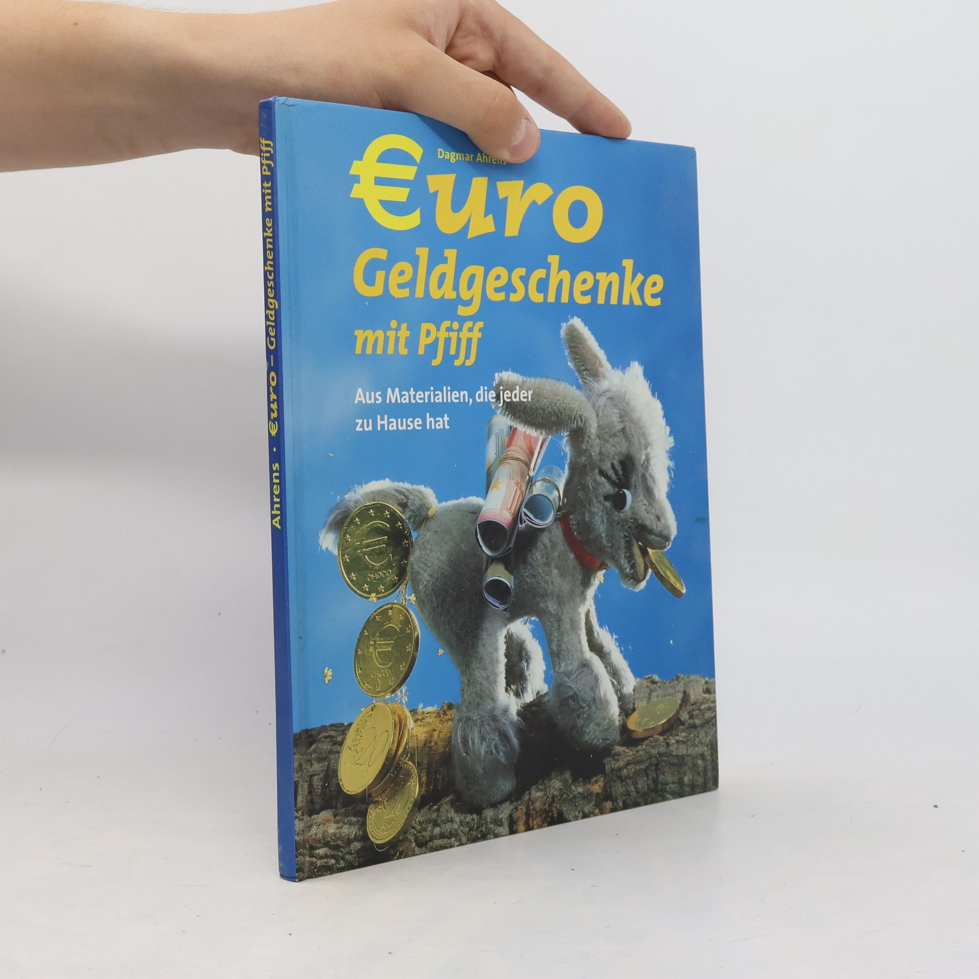 Dagmar Ahrens Euro Geldgeschenke mit Pfiff