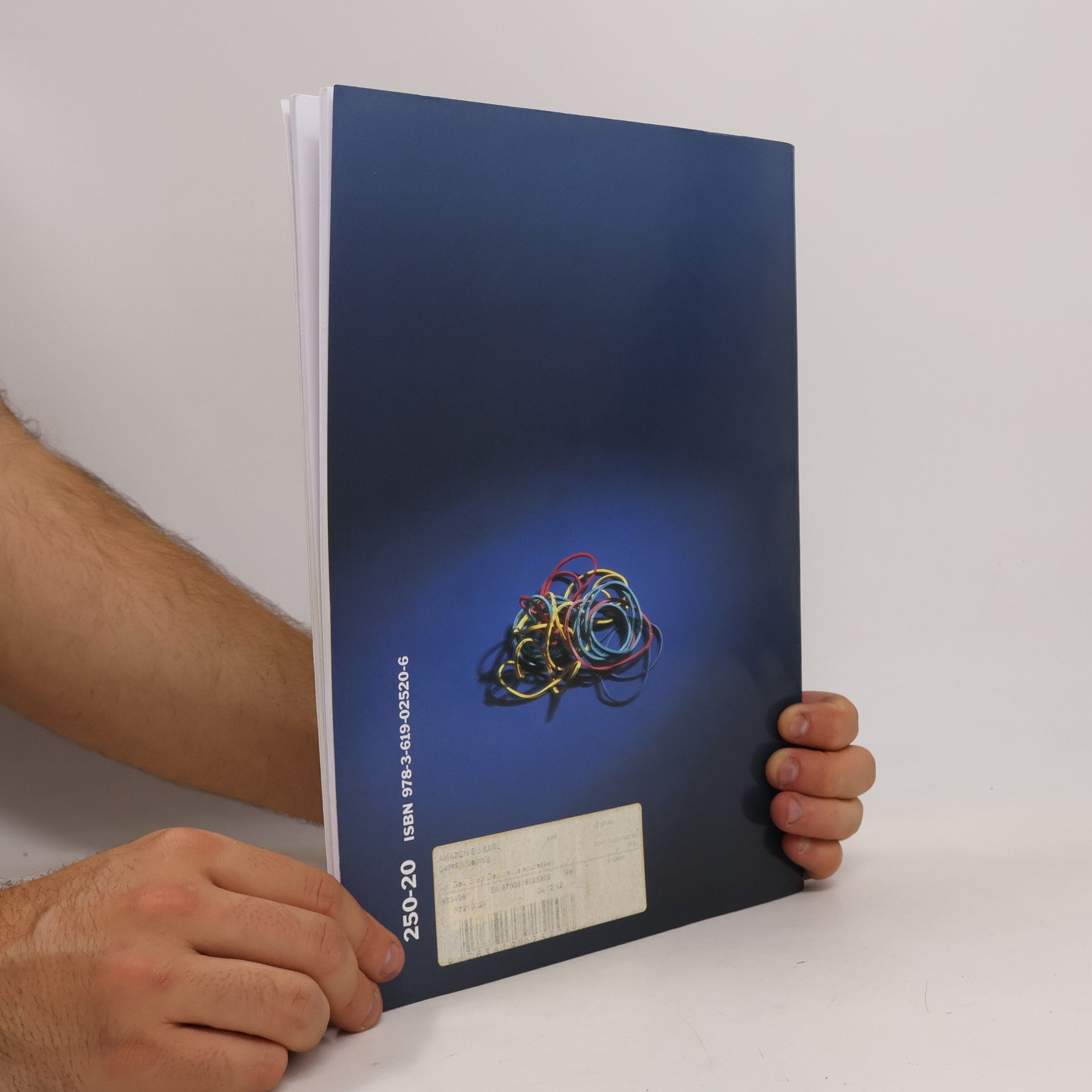 Karl Heinz Keller Am Geo-Brett Geometrie entdecken