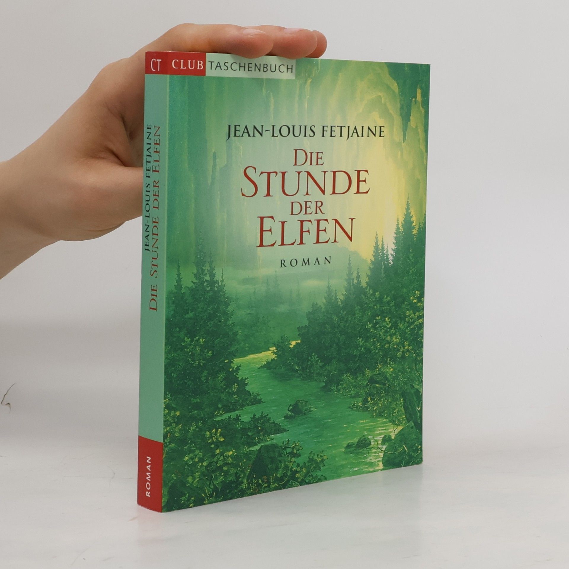 Jean-Louis Fetjaine Die Stunde der Elfen