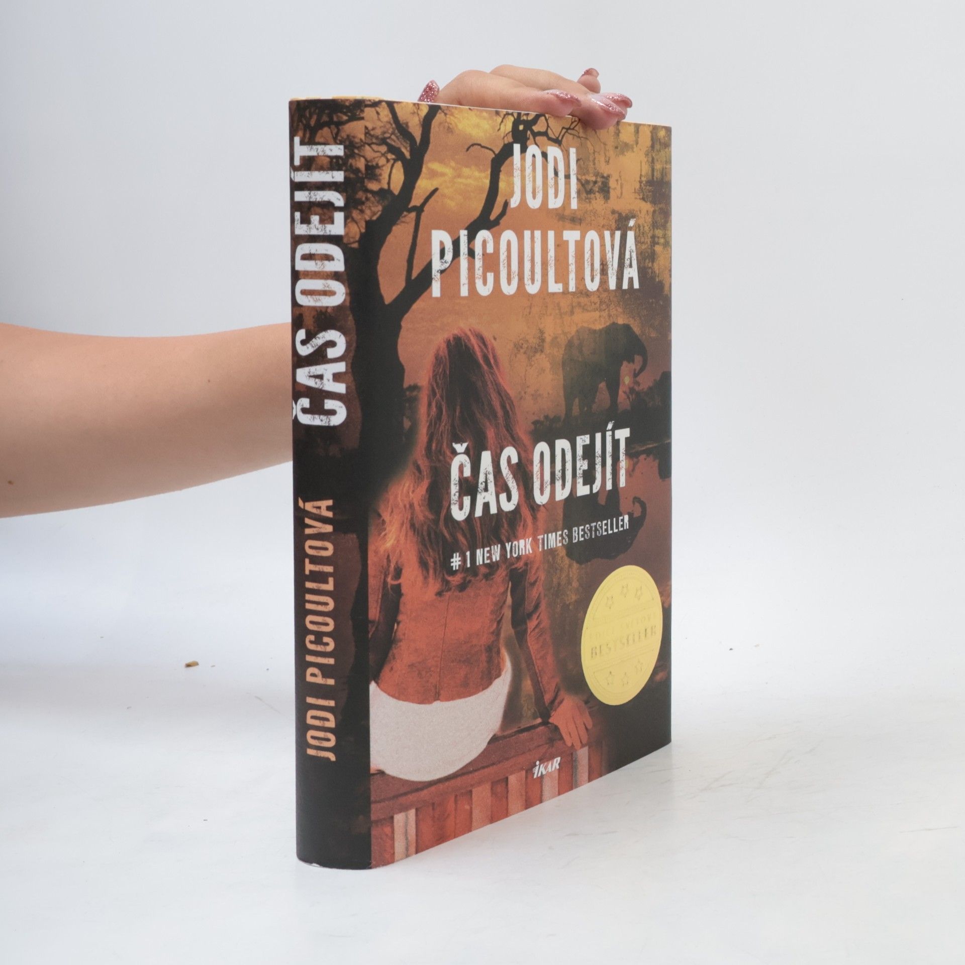 Jodi Picoult Čas odejít