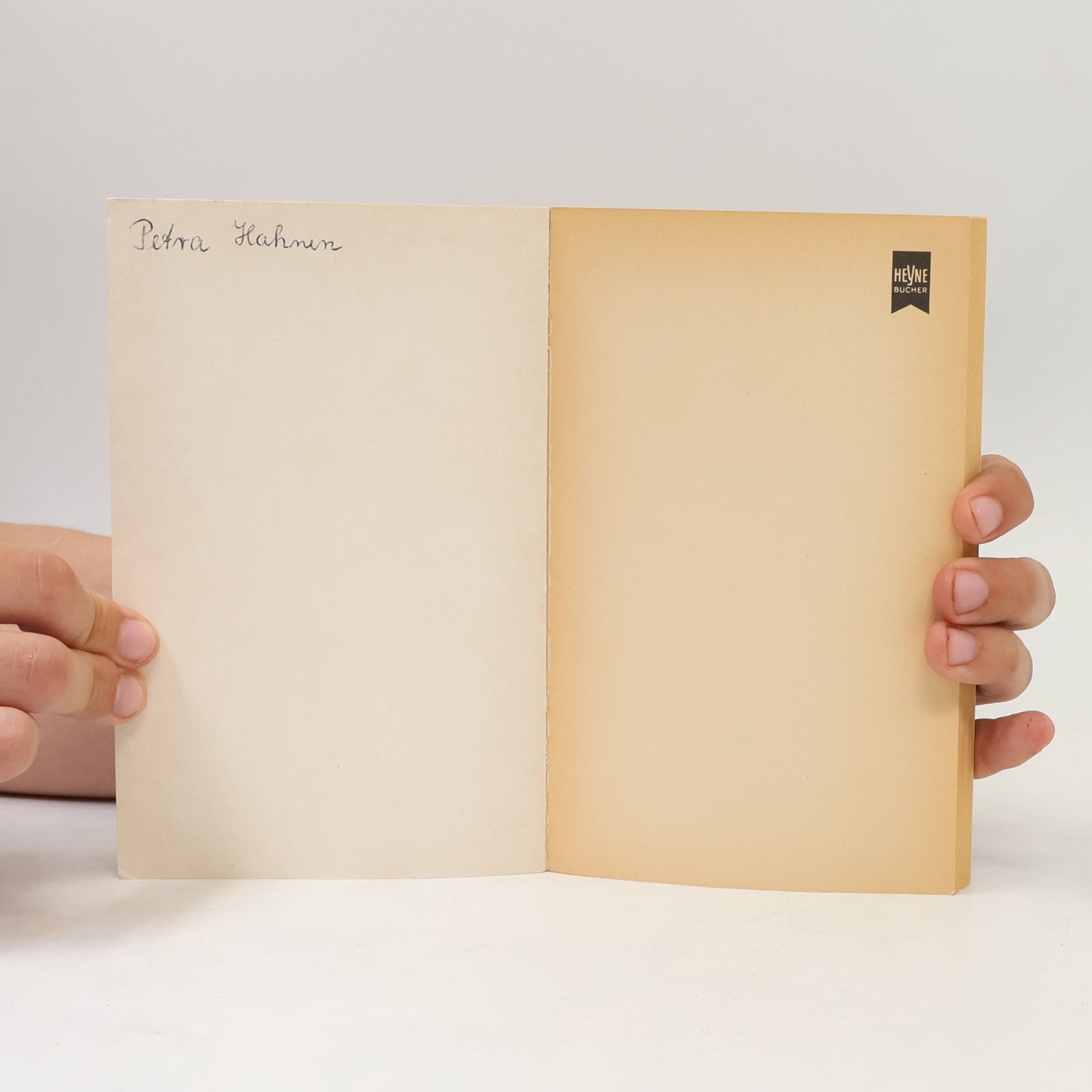 Horst Bosetzky Aus der Traum