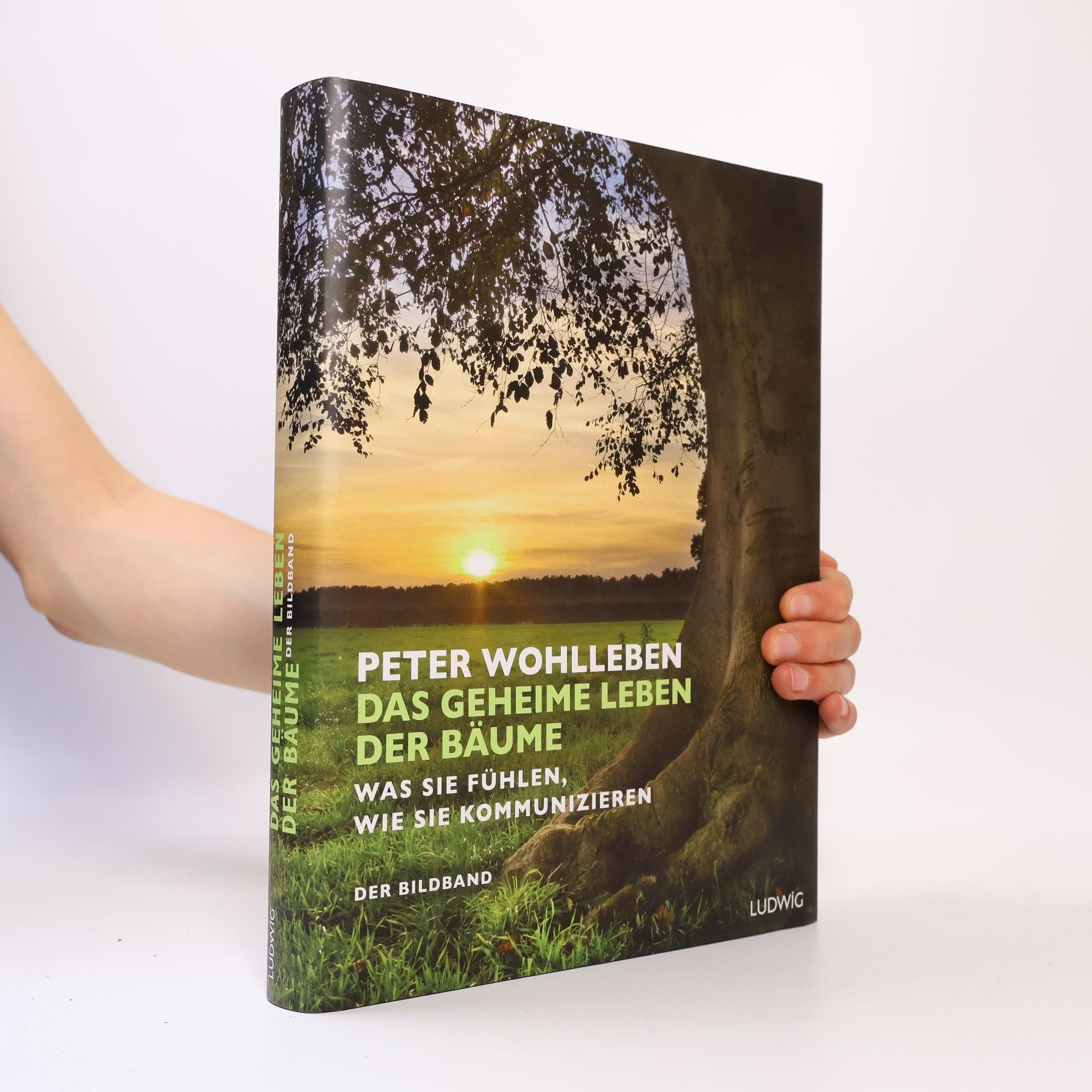 Peter Wohlleben Das geheime Leben der Bäume