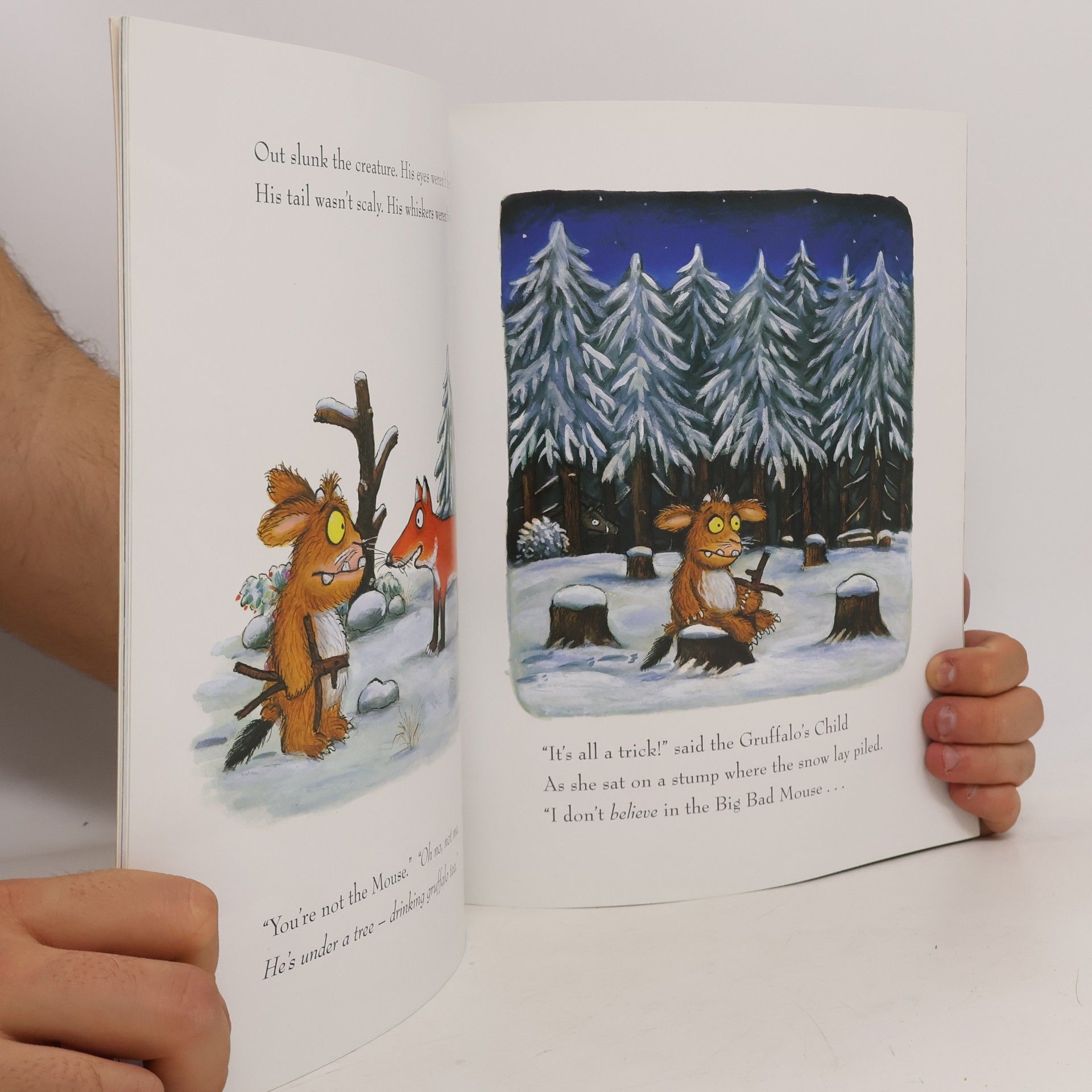 Julia Donaldson The Gruffalo´s child