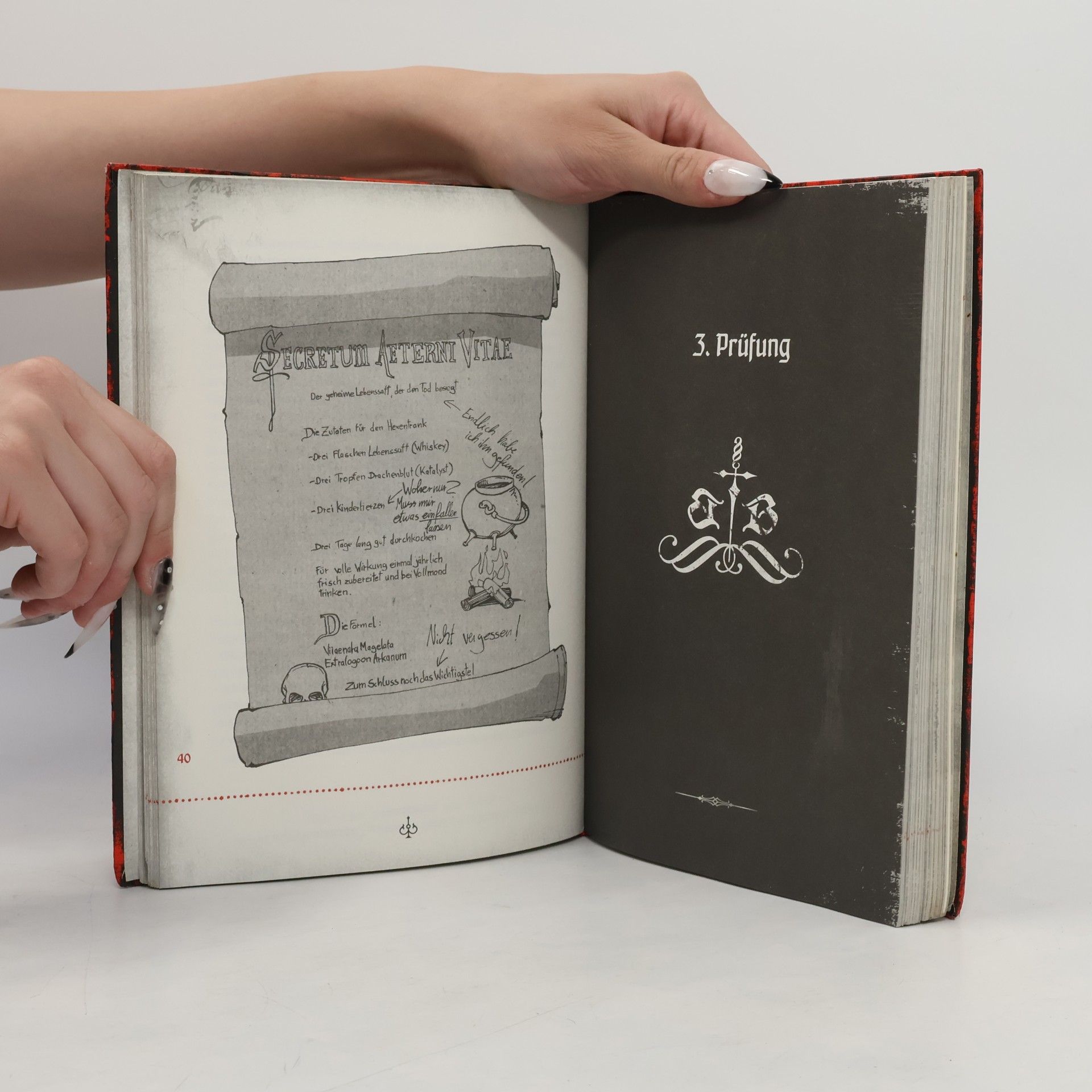 Magnnus Myst Das Böse Buch