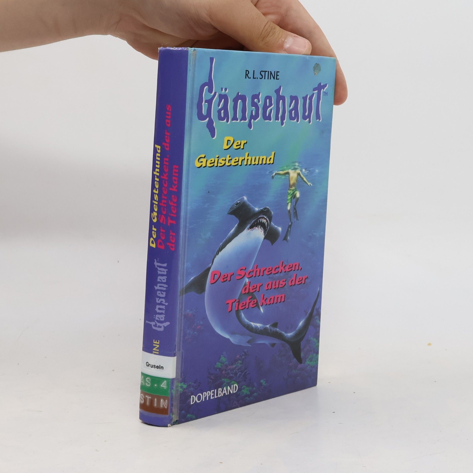 R. L. Stine Gänsehaut. Der Geisterhund