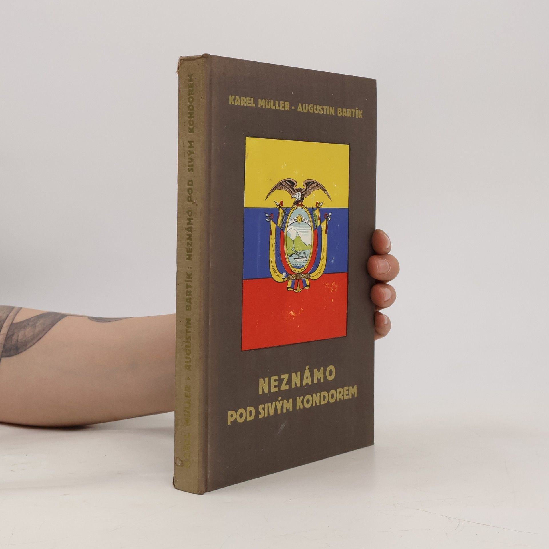 Augustin Bartík Neznámo pod sivým kondorem