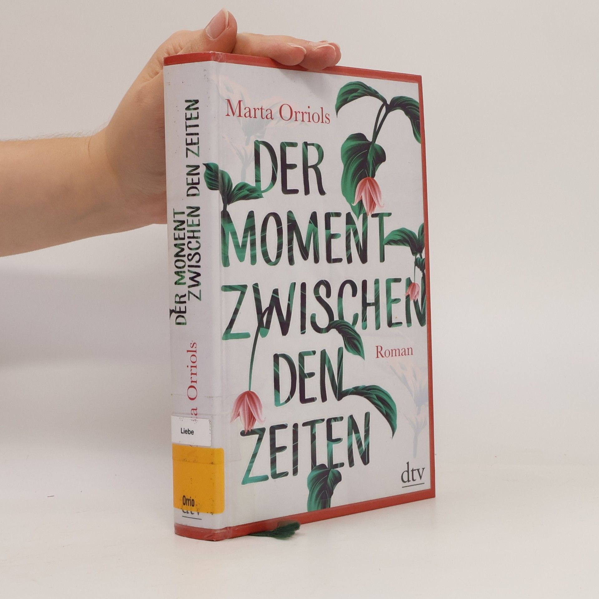 Marta Orriols Der Moment zwischen den Zeiten