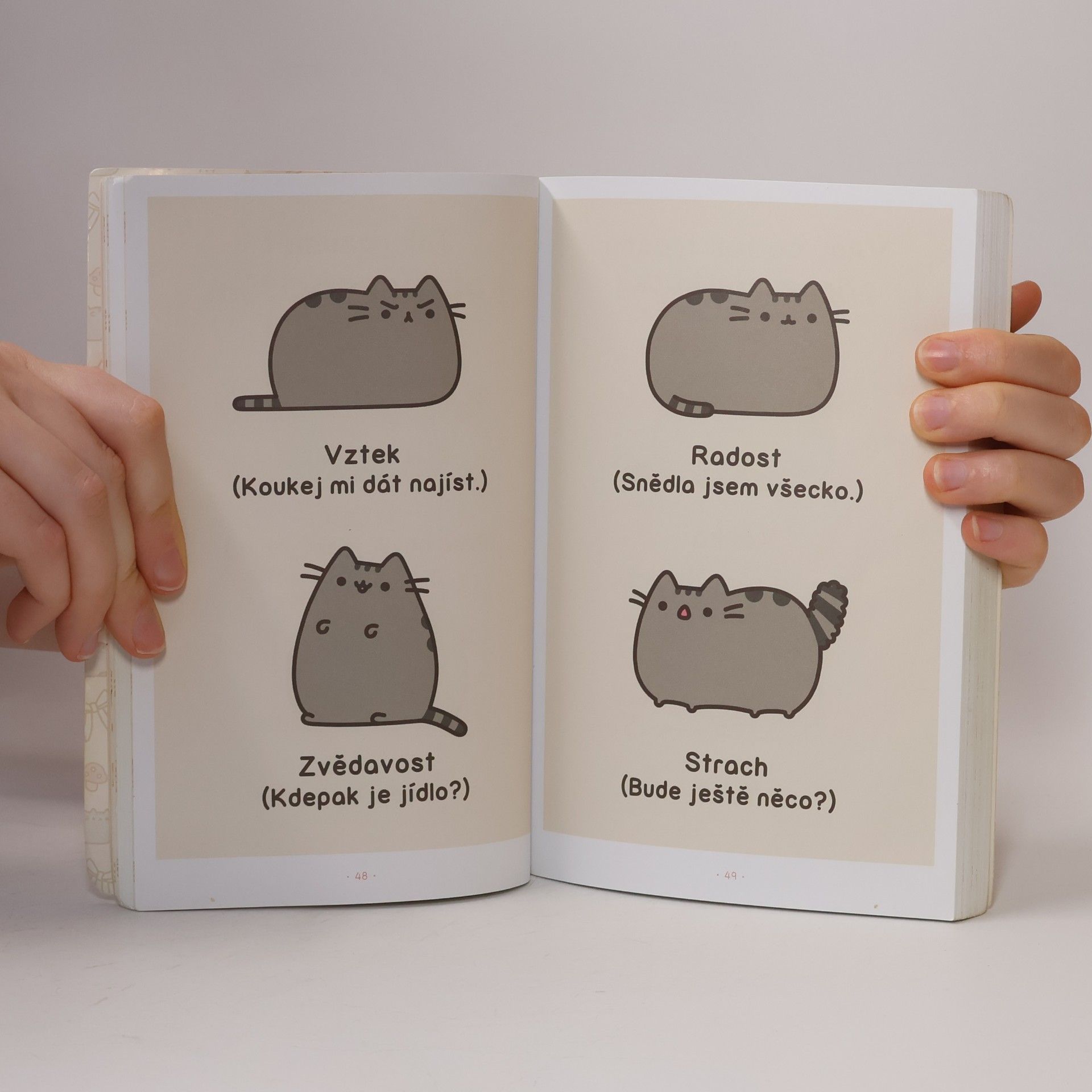 Claire Belton Pusheen. Já, košišta
