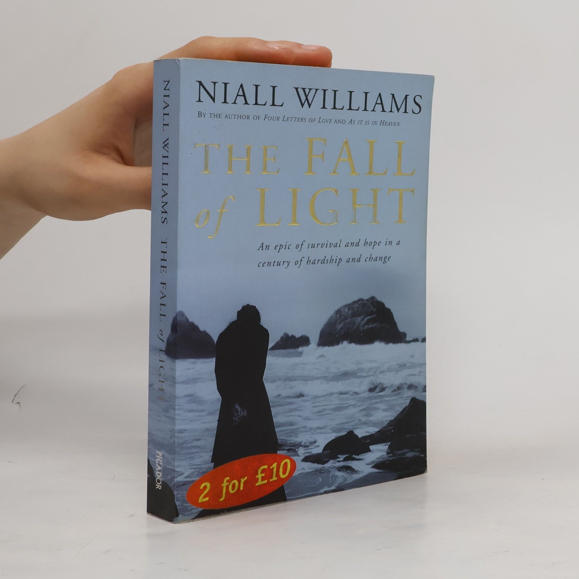 Niall Williams The Fall of Light