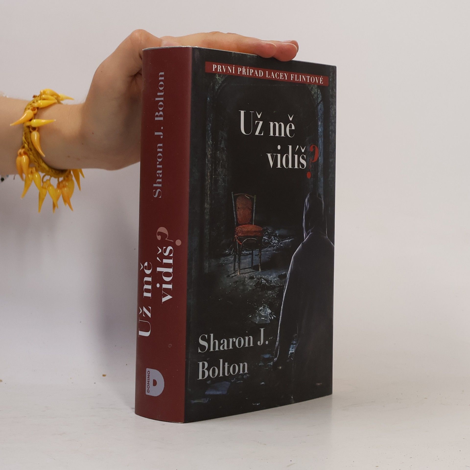 S. J. Bolton Už mě vidíš?