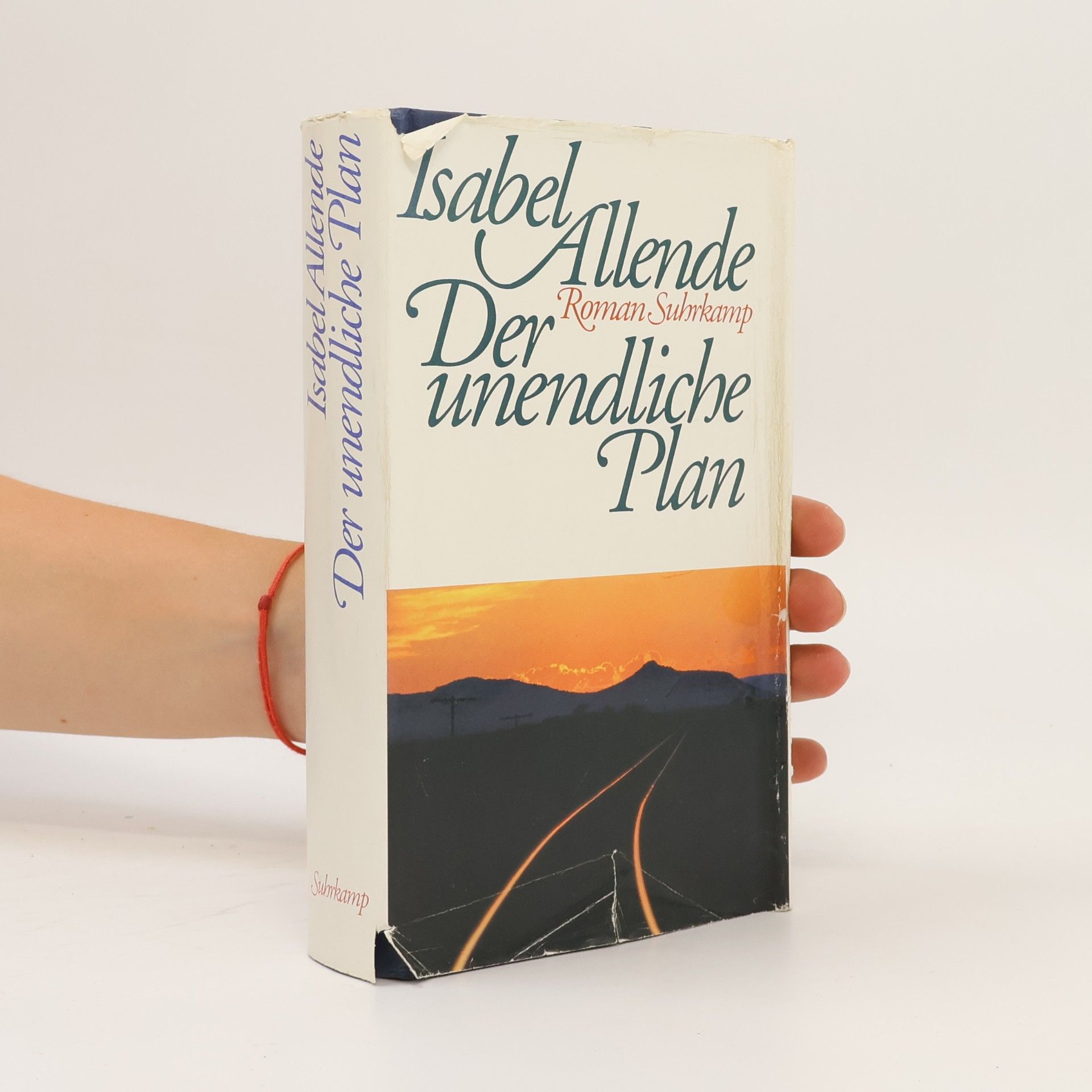 Isabel Allende Der unendliche Plan