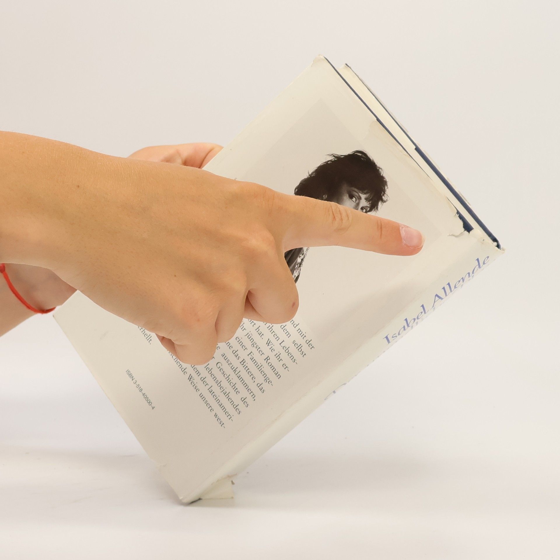 Isabel Allende Der unendliche Plan