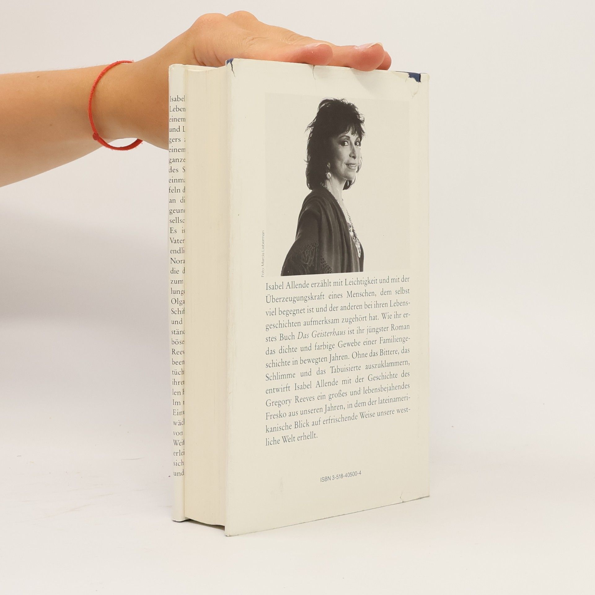 Isabel Allende Der unendliche Plan